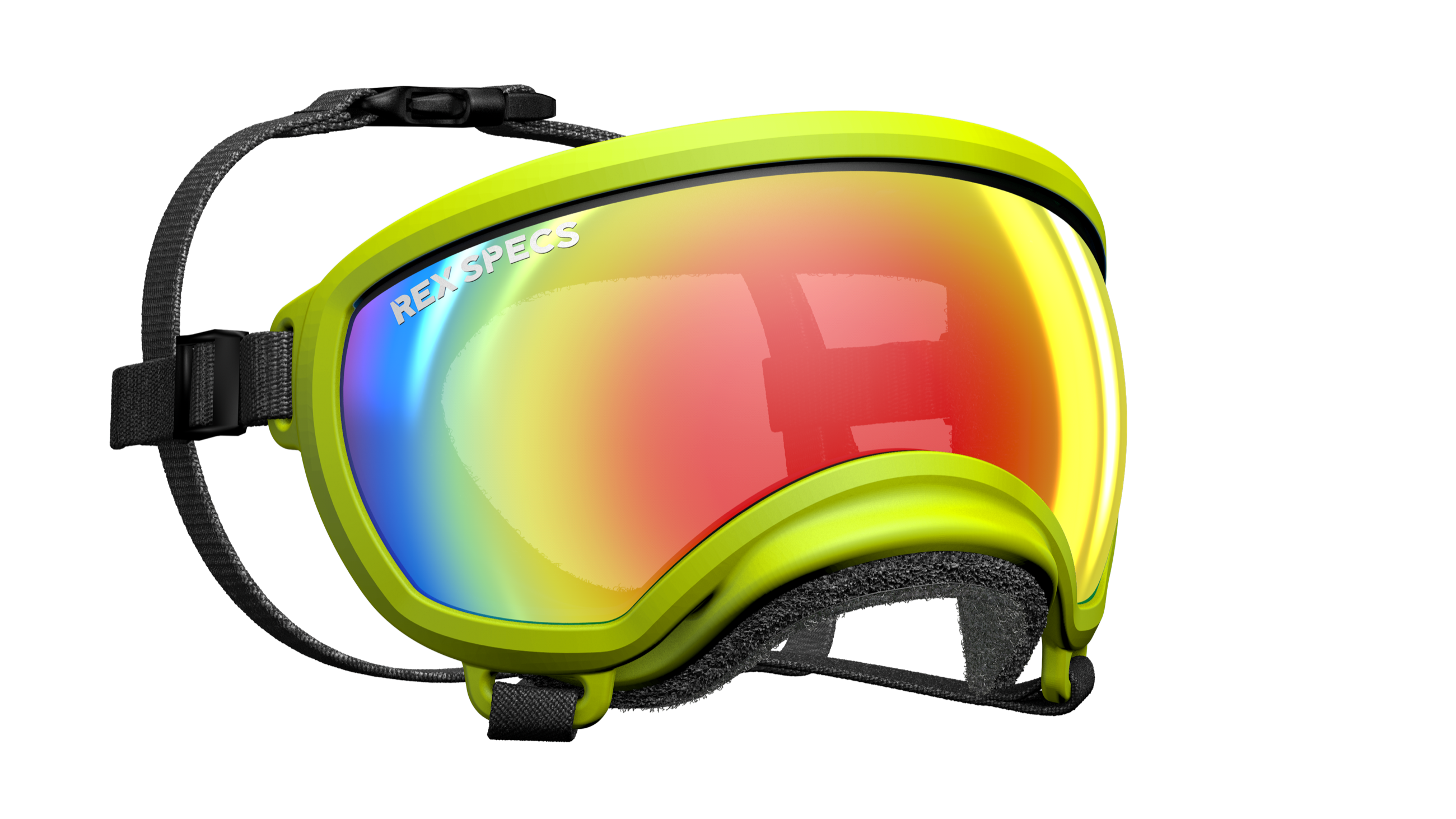Rex Specs Small Dog Goggles for Pets Under 7kg - Protective Eyewear for Active Dogs, Hiking, Running & Outdoor Adventures
