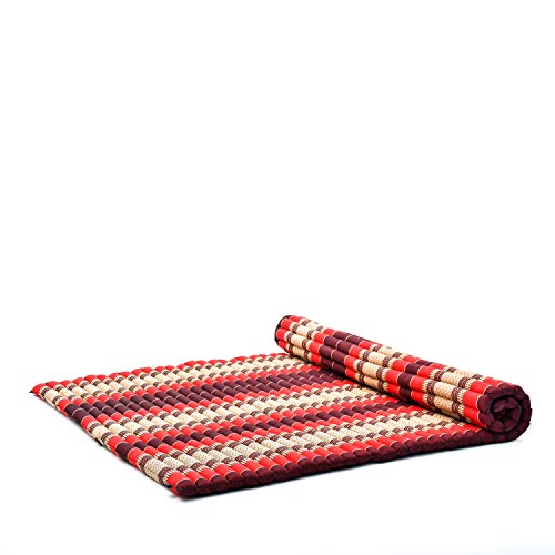 Sf24 - Red, Brown