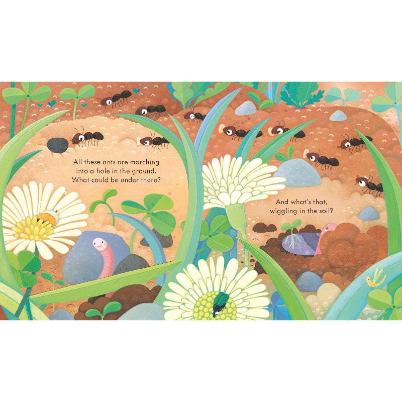 Peep Inside Under the Ground - Interactive Lift-the-Flap Children's Book About Underground World | Perfect for Kids' Bedtime Stories & Classroom Learning