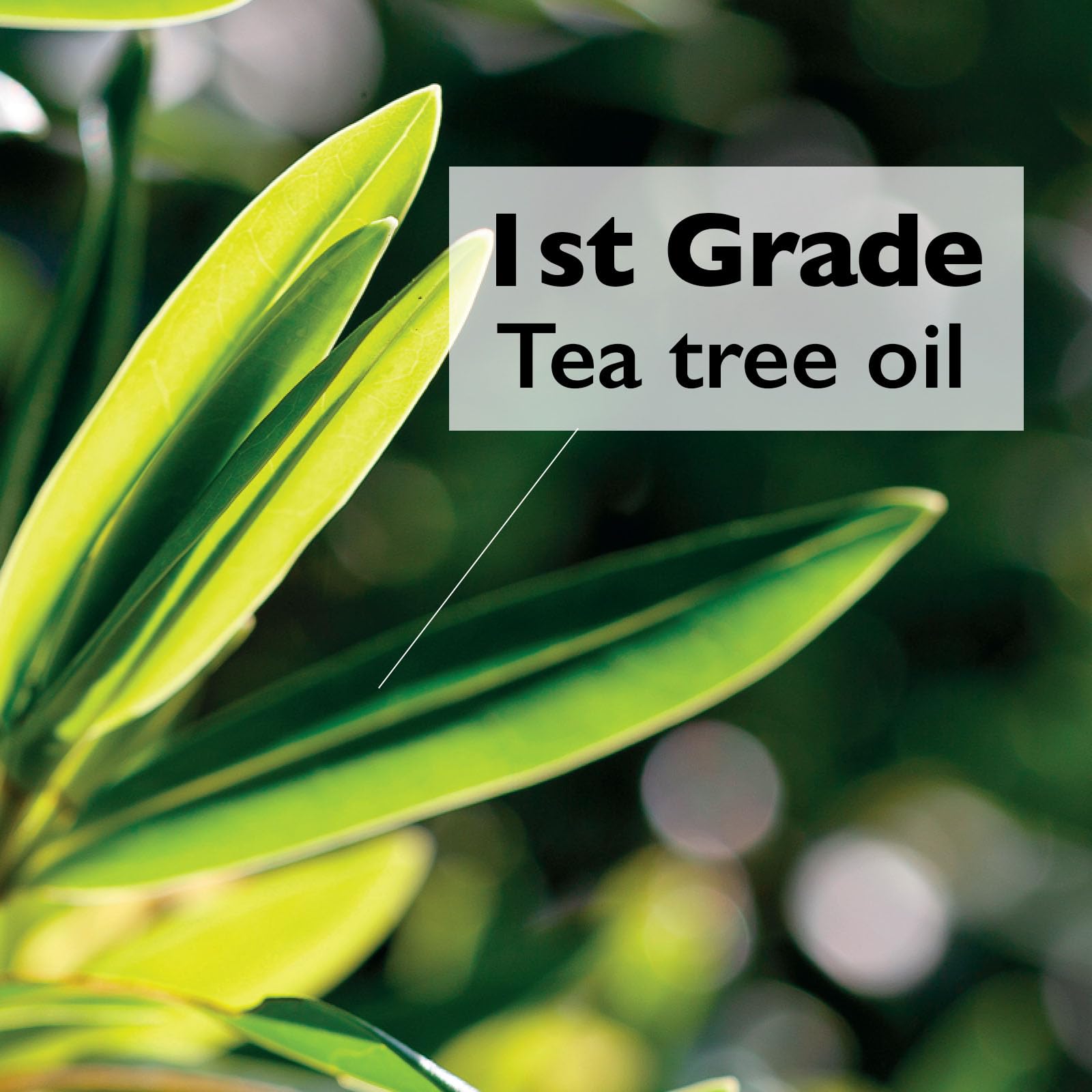 Tea Tree Acne Roll-On Treatment for Sensitive Skin - Spot Care for Pimples & Blemishes - Perfect for Travel & Daily Use