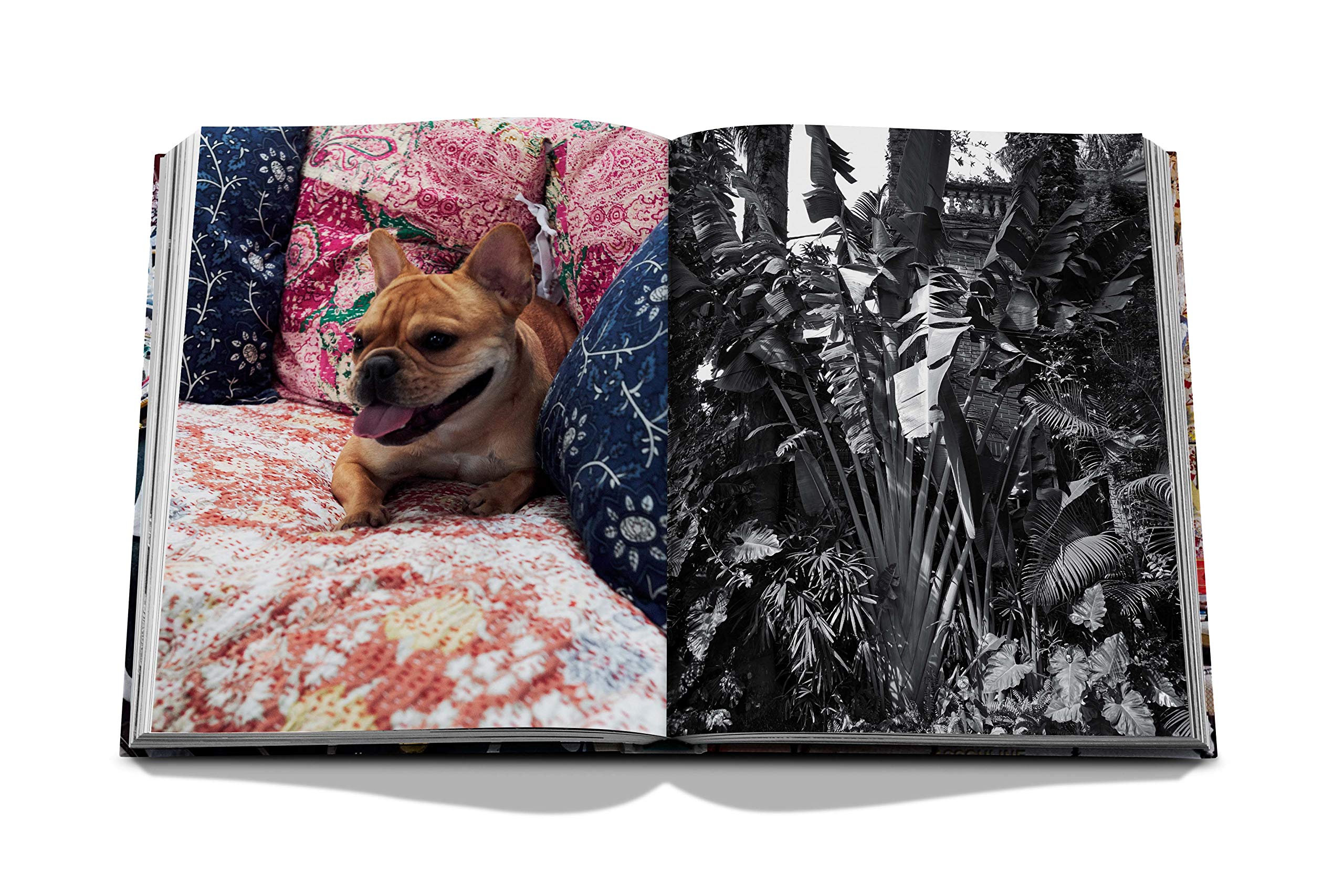 Maximalism by Sig Bergamin - Luxury Assouline Coffee Table Book Hardcover | Perfect for Home Decor, Interior Design & Gift Ideas