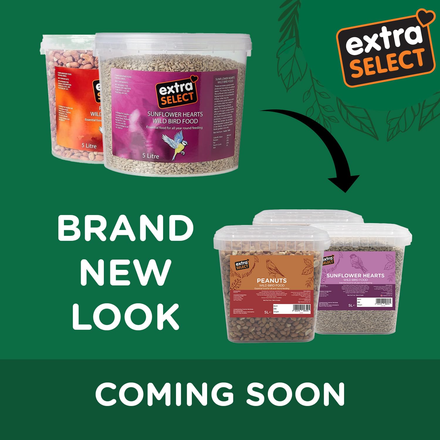 Premium Budgie Seed Mix - Nutritious Indoor Bird Food for Small Birds Like Parakeets & Finches - 5L Resealable Storage Tub - Perfect for Daily Feeding & Cage Enrichment