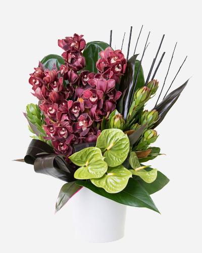 Tropical Inspiration - Exotic Home Decor & Gifts for Beach House, Vacation Rental & Boho Style Living | Perfect for Coastal, Hawaiian & Island Themed Rooms