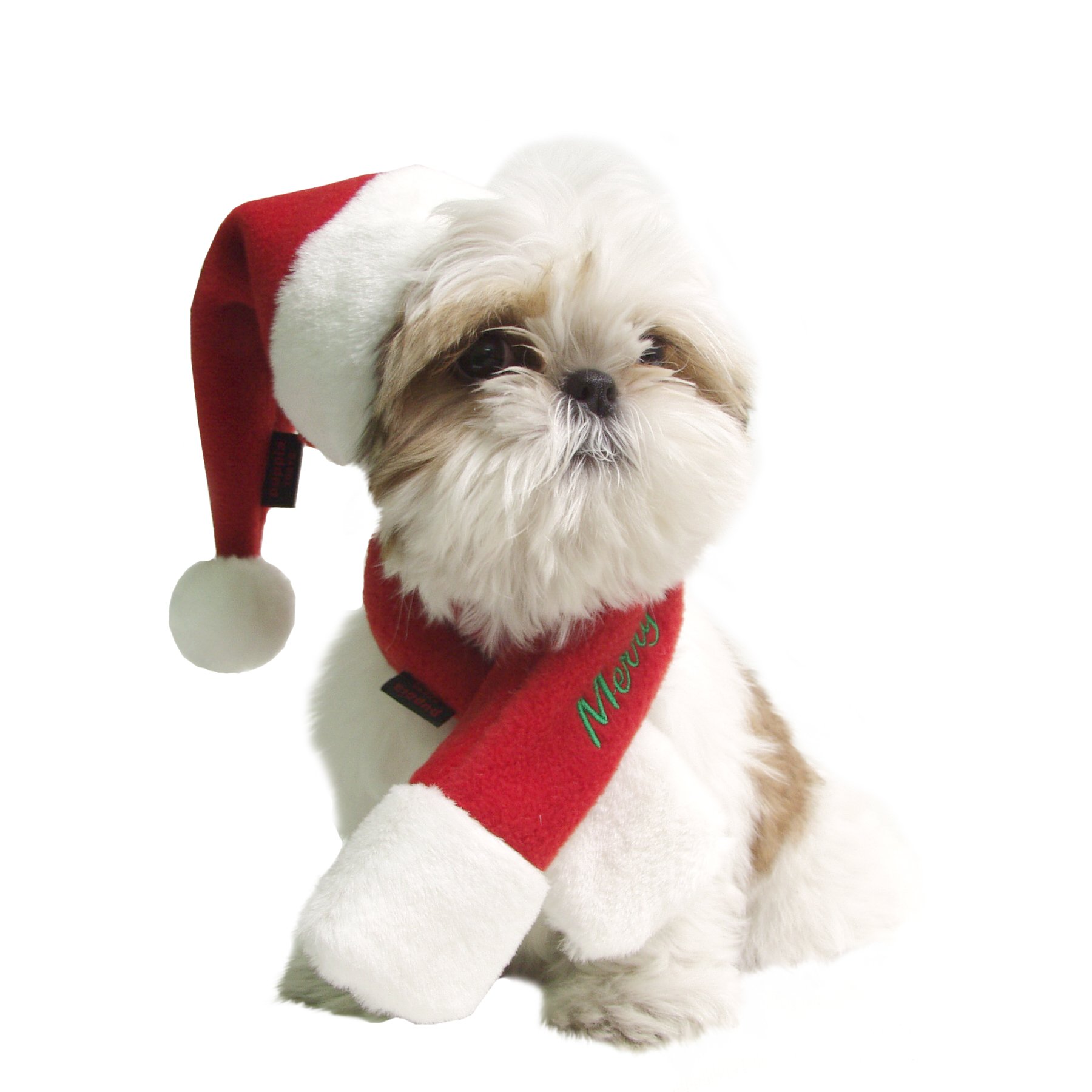 Puppia Santa Claus Dog Hat - Large Red Pet Costume for Christmas & Holiday Photos | Perfect for Festive Parties, Pet Parades & Cute Instagram Pictures