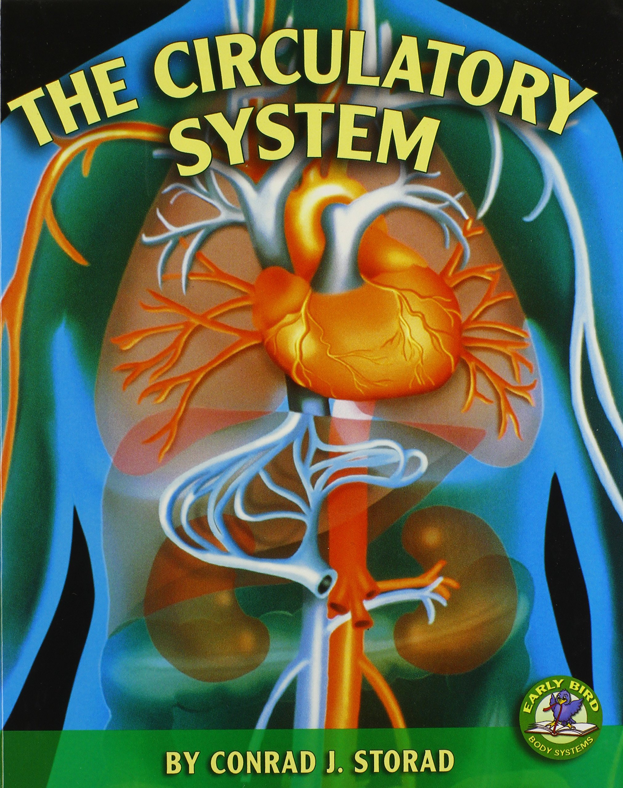 The Circulatory System Book for Kids - Early Bird Body Systems | Human Anatomy Learning Guide for Children | Perfect for Homeschooling & Classroom Science Lessons