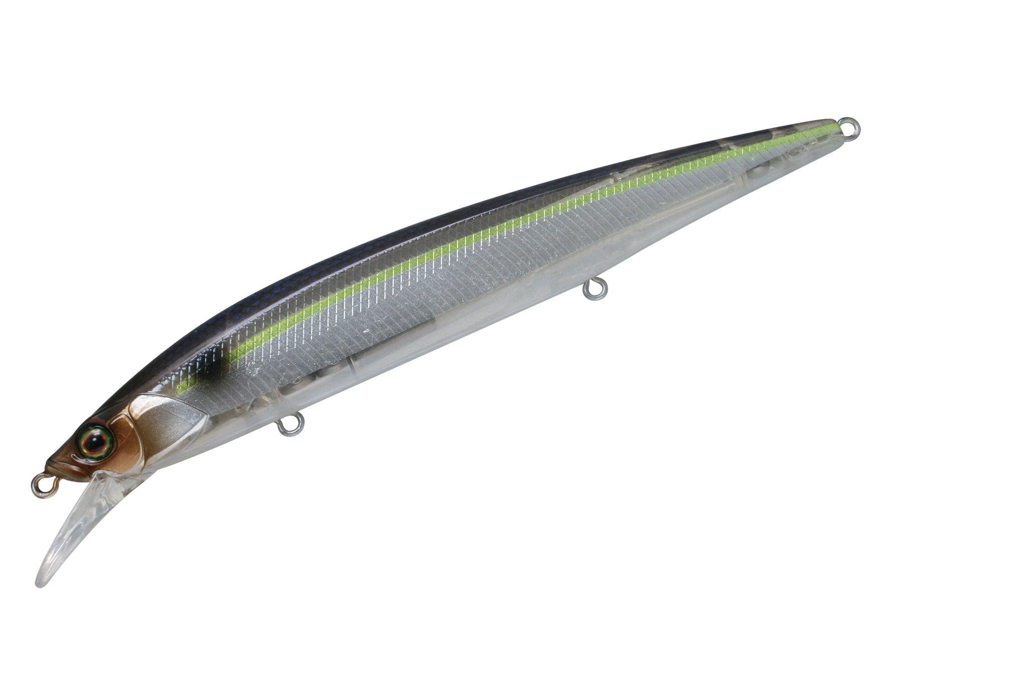 SG Threadfin Shad