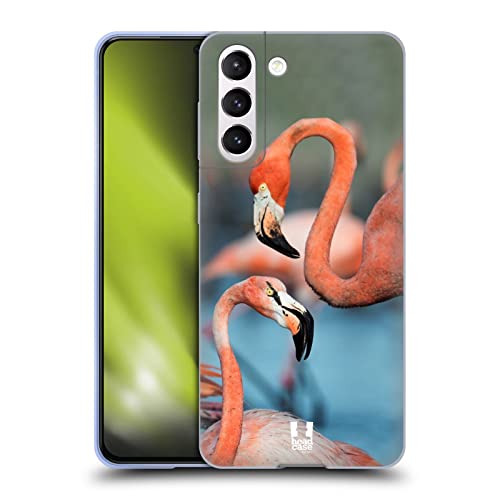 Two Great Flamingos