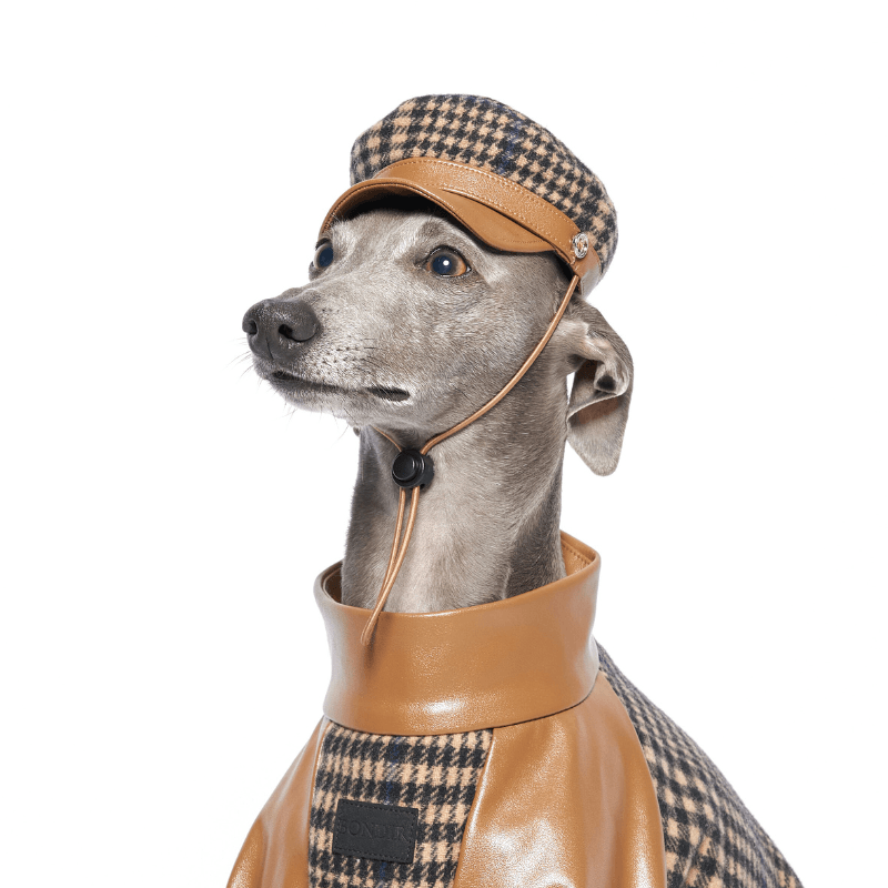 Ashwood Dog Hat - Stylish & Comfortable Pet Accessory for Small & Medium Dogs - Perfect for Outdoor Walks, Photos & Special Occasions