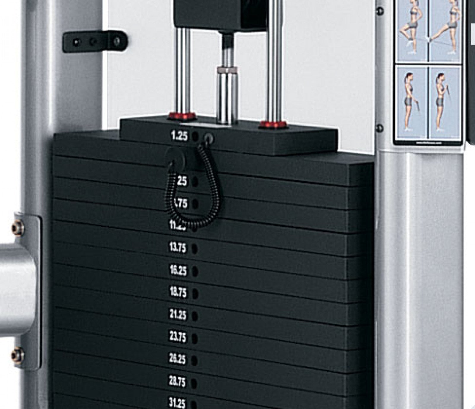 Life Fitness CMDAP Dual Adjustable Pulley Machine - Premium Home & Gym Strength Training Equipment for Full-Body Workouts