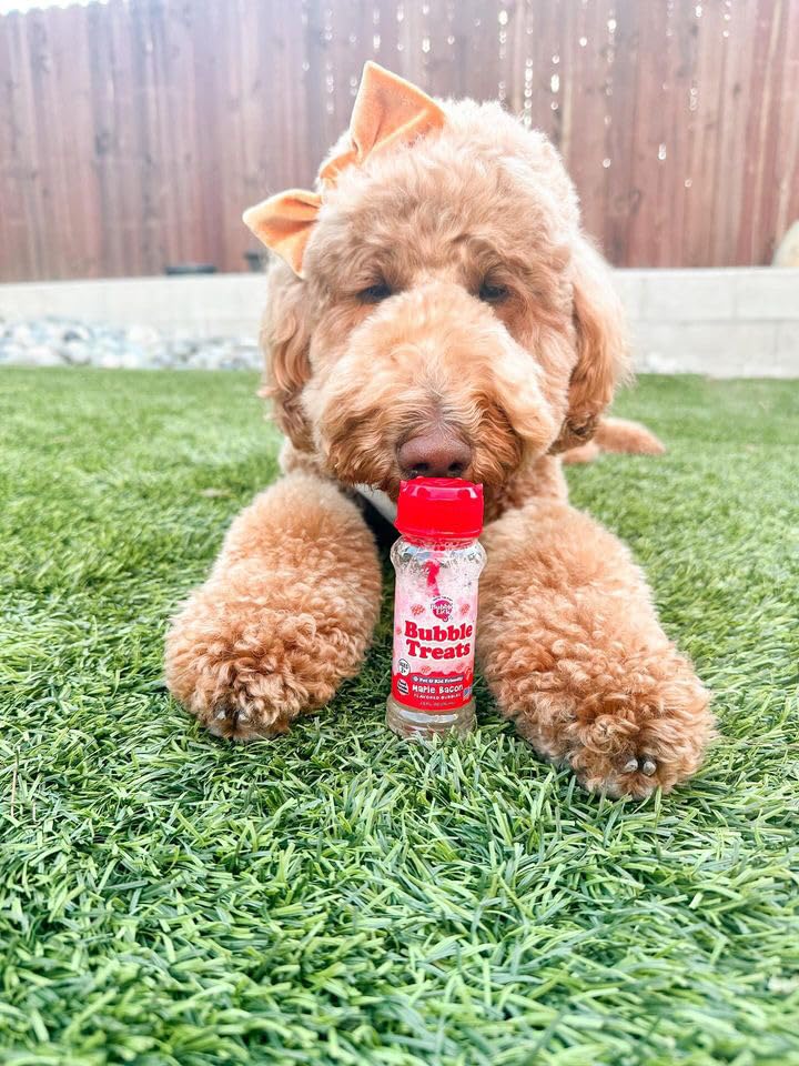 Bubble Treats Maple Bacon Pet Bubbles - 4 Pack (2.5 Fl Oz Each) | Natural Bacon Flavored Lickable Bubbles for Dogs & Cats | Safe for Bubble Toys & Blasters | Refillable Bubble Solution for Pet Playtime & Training