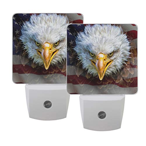 Bald Eagle American Flag