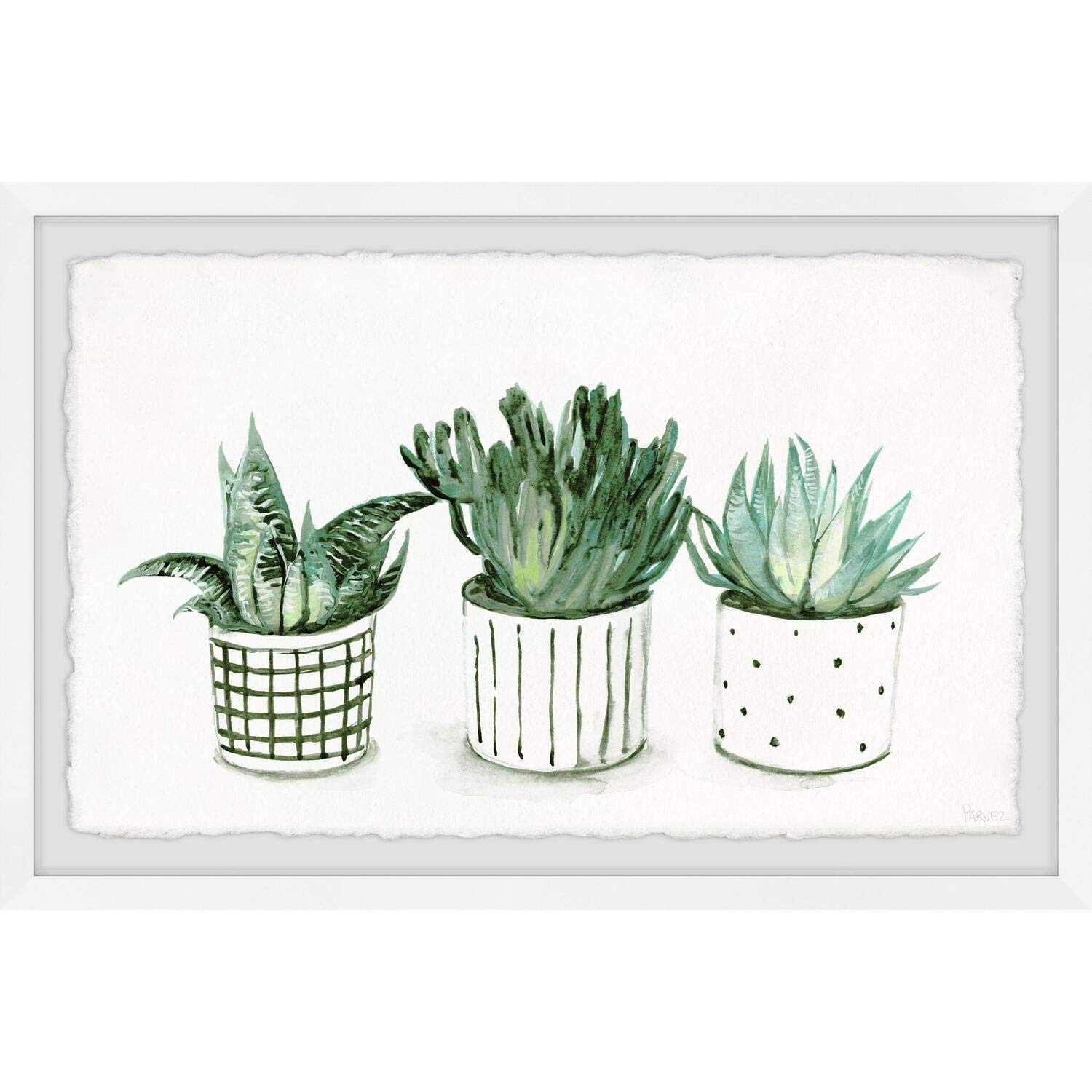 Parvez Taj Green Patterned Pots Framed Wall Art Print 30