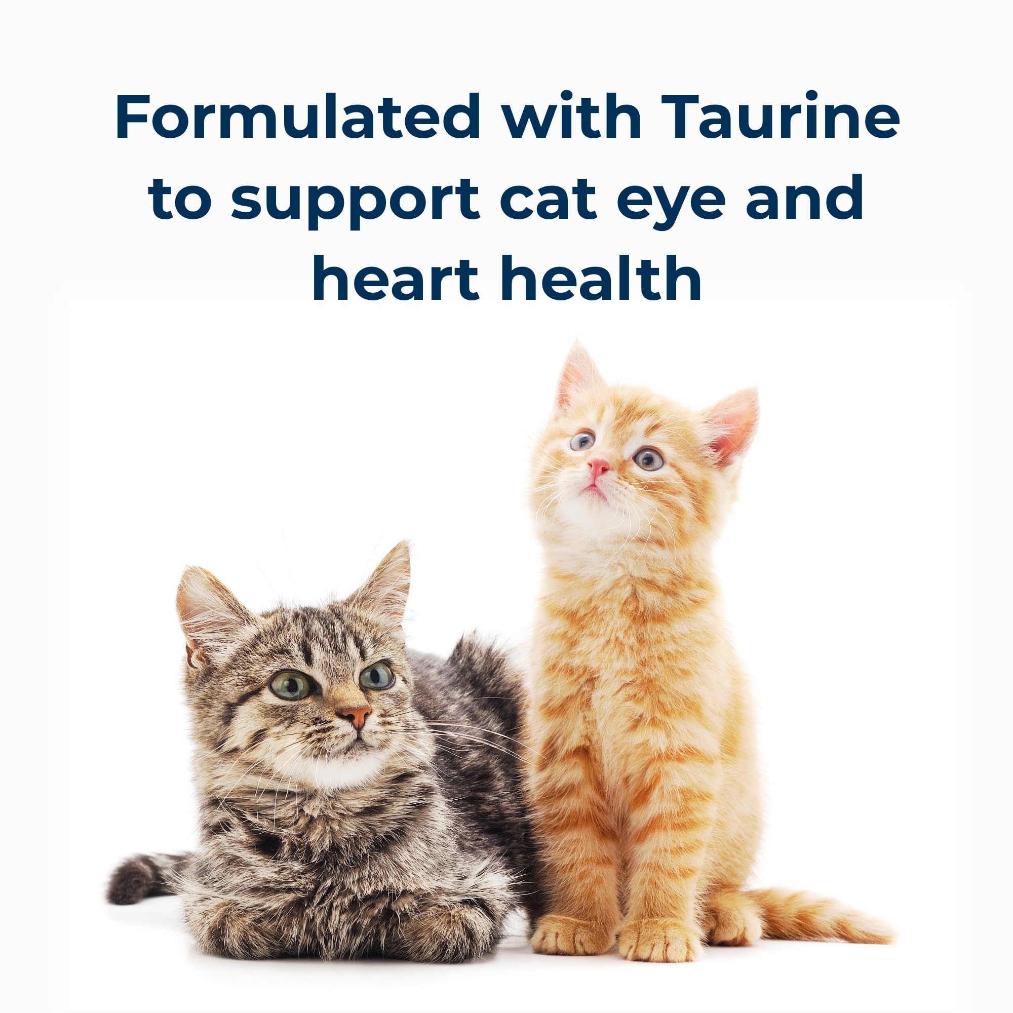 Pet-Ag Cat-Sip Real Milk Treat for Cats & Kittens - 8oz, 6 Pack - 99% Lactose-Free Low-Fat Grade A Milk Snack - Promotes Hydration, Eye & Heart Health - Easy to Digest Ready-to-Feed Cat Milk - Perfect for Treat Time, Training Rewards & Hydration Booster