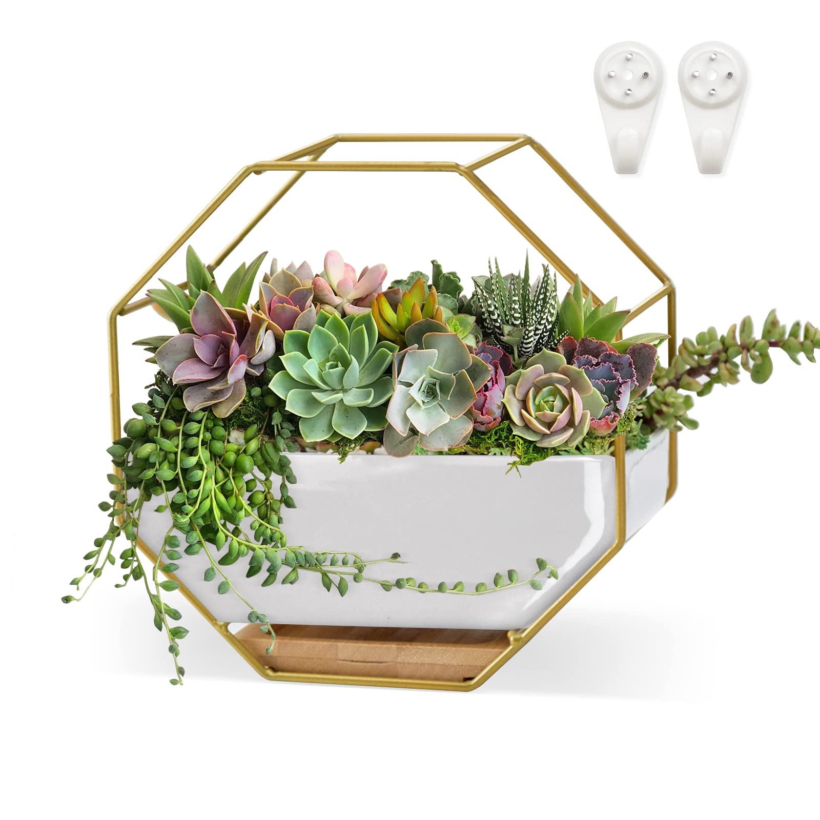 7×3.5 Inch Decorative Ceramic Succulent Planter with Metal Hanger - Dual Purpose Hanging & Tabletop Flower Pot with Drainage Hole & Saucer for Indoor Plants, Home Office, Garden Decor (Ideal for Succulents, Herbs & Small Flowers)