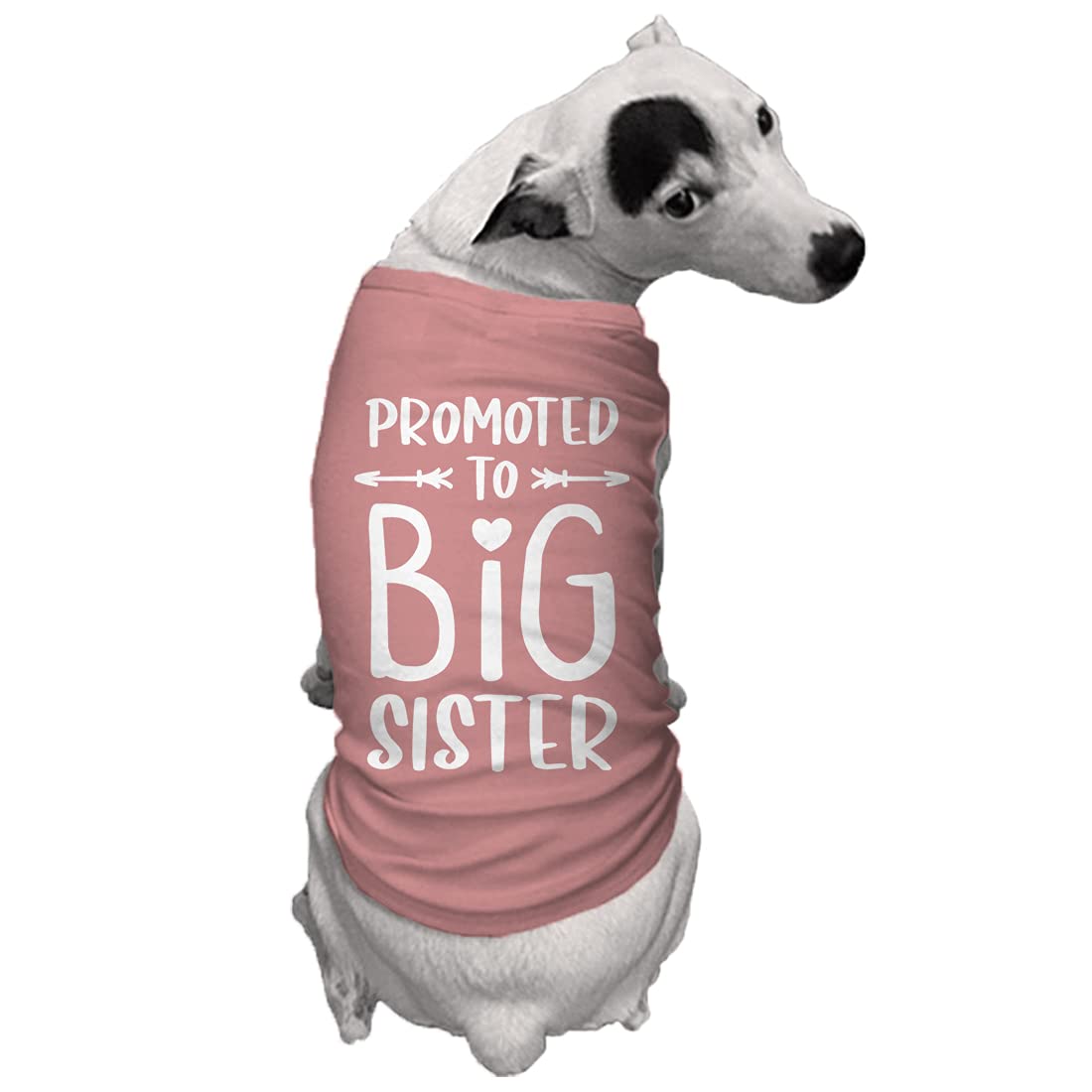 Big Sister Dog Shirt - Mauve XS Pet Clothes for Small Dogs | Perfect for Puppy Announcements, Adoption Celebrations & Family Photo Shoots
