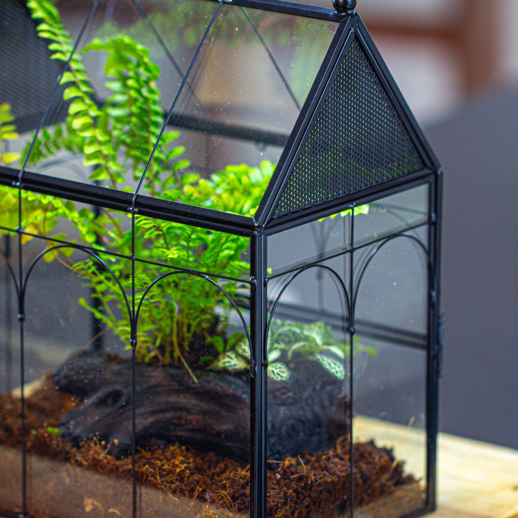 NCYP Glass Terrarium with Ventilation Holes - 7.5x4.9x9 Inch Small House-Shaped Habitat for Jumping Spiders, Insects & Snails - Closed Front Door Succulent Planter - Black Home Decor (No Plants Included) - Perfect for Pet Enclosures, Plant Displays & Decorative Home Accents