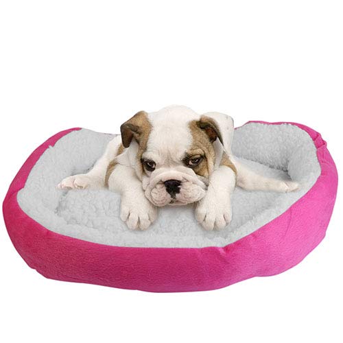 iMounTEK Soft Warm Fleece Pet Bed for Small & Medium Dogs & Cats - Cozy Nest Sofa Cushion with Non-Slip Bottom (Pink) | Perfect for Living Room, Bedroom & Pet Travel Carrier