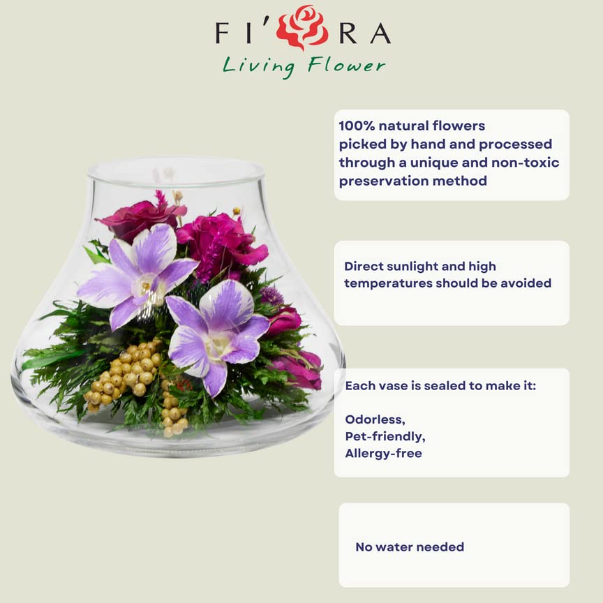 Luxury Preserved Orchid Arrangement in Glass Vase - Long Lasting Silk Flowers for Anniversary, Wedding, Corporate Gifts - Perfect for Home Decor, Office Centerpiece & Special Occasions