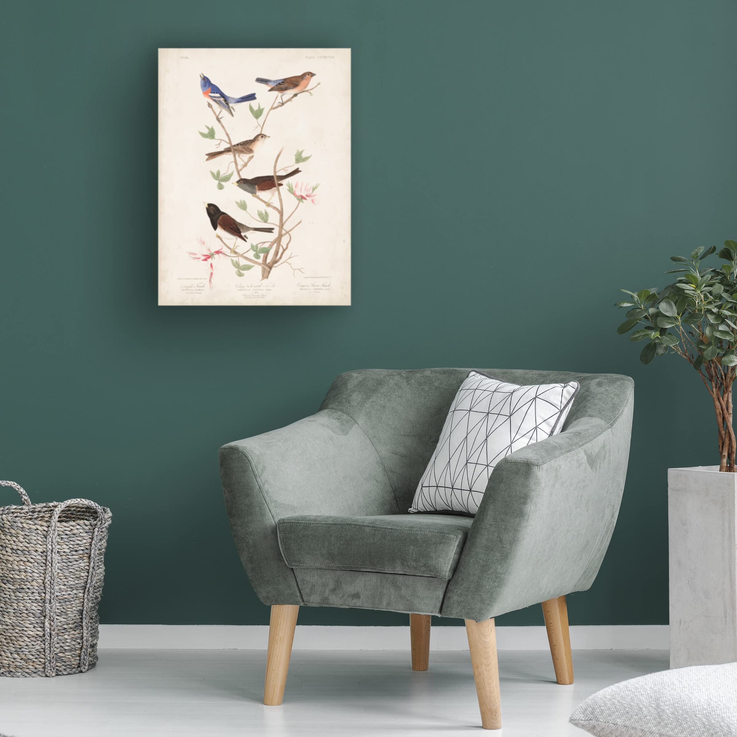 Trademark Fine Art 'Lazuli Finch' Canvas Wall Art by John James Audubon - 14x19 Inch Handmade Bird Painting - Perfect for Living Room, Bedroom & Office Decor