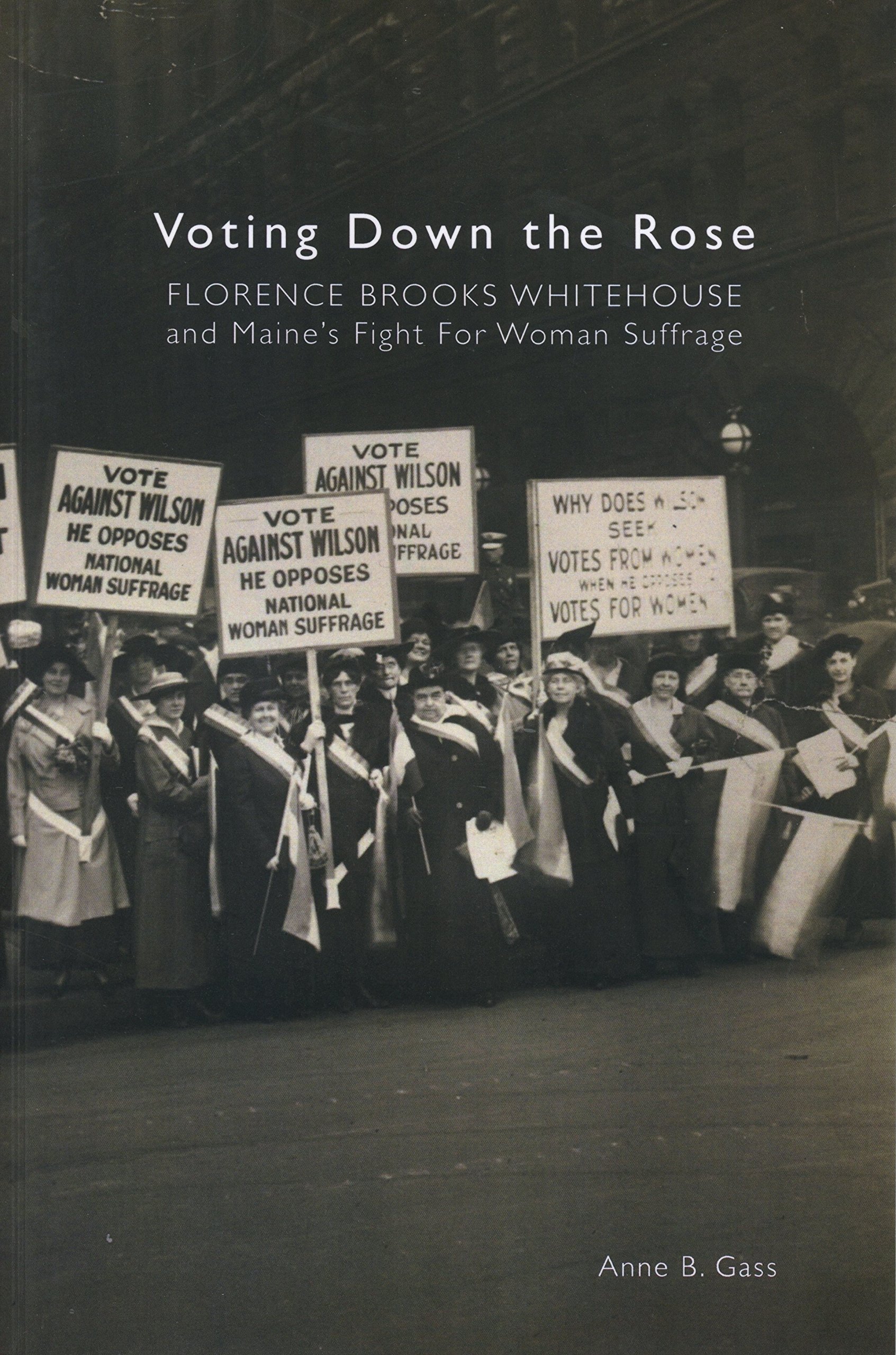 Voting Down the Rose - Political Satire Novel | American Election Humor Book | Perfect for Book Clubs & Political Discussions