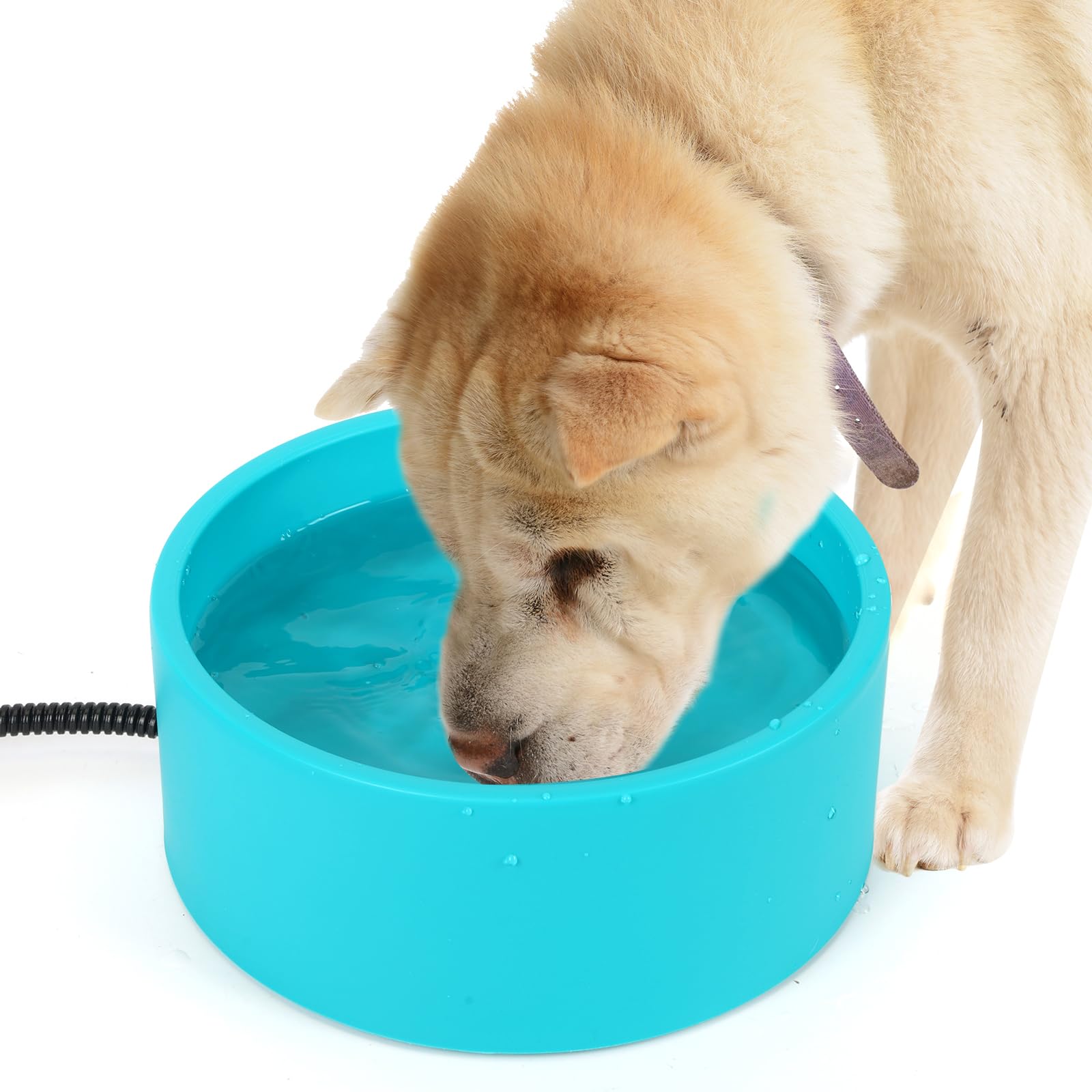 3.2L Heated Pet Water Bowl for Dogs & Cats - Outdoor Anti-Freeze Thermostatic Heated Dog Bowl for Winter - Large Heated Water Dish for Chicken, Duck, Goose, Rabbit - Perfect for Backyard, Kennel, and Farm Use