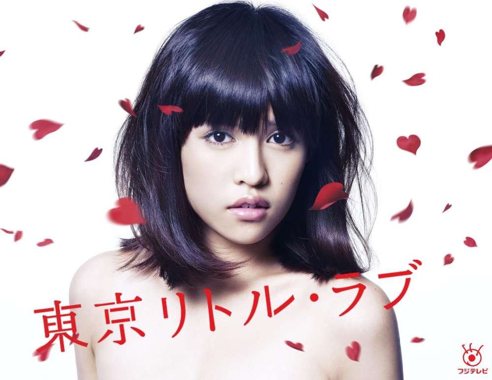 Tokyo Little Love DVD Box Set - Complete Series Collection | Romantic Japanese Drama for Movie Nights & Gift Giving