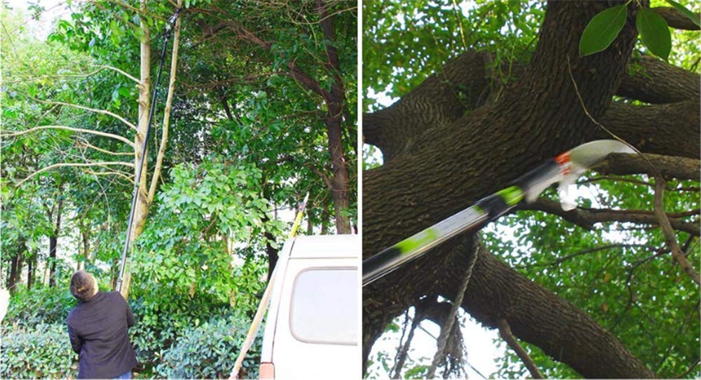 20 Ft Extendable Telescopic Pole Saw for Tree Trimming & Pruning - Lightweight Landscaping Pole Saw with Adjustable Length for Cutting High Branches & Leaves - Perfect for Garden, Yard & Outdoor Maintenance