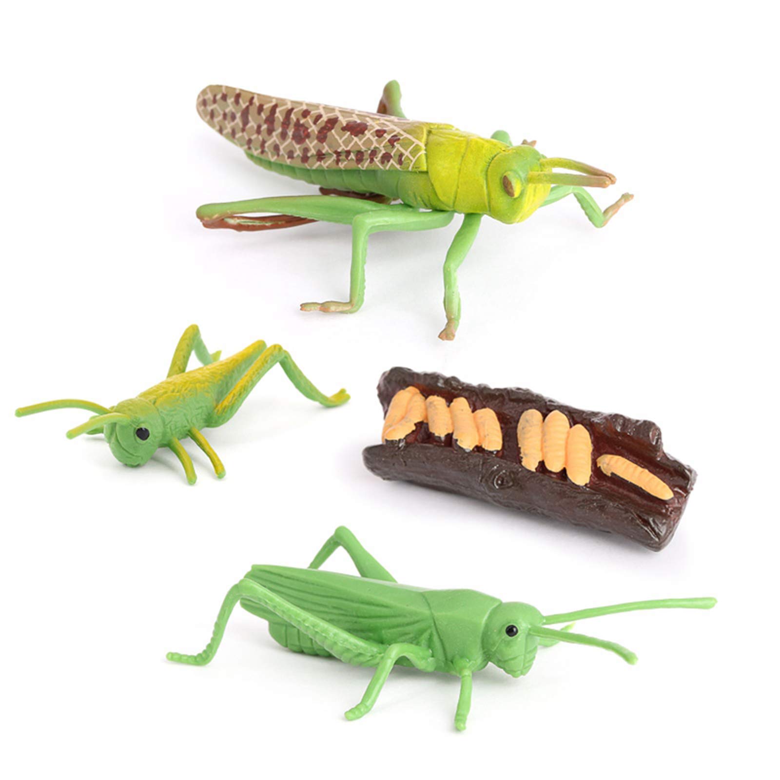 Nature Grasshopper Growth Life Cycle Playset - Educational STEM Toy for Kids, Insect Learning Kit for Science & Imagination Development - Perfect for Classroom, Homeschooling & Outdoor Exploration