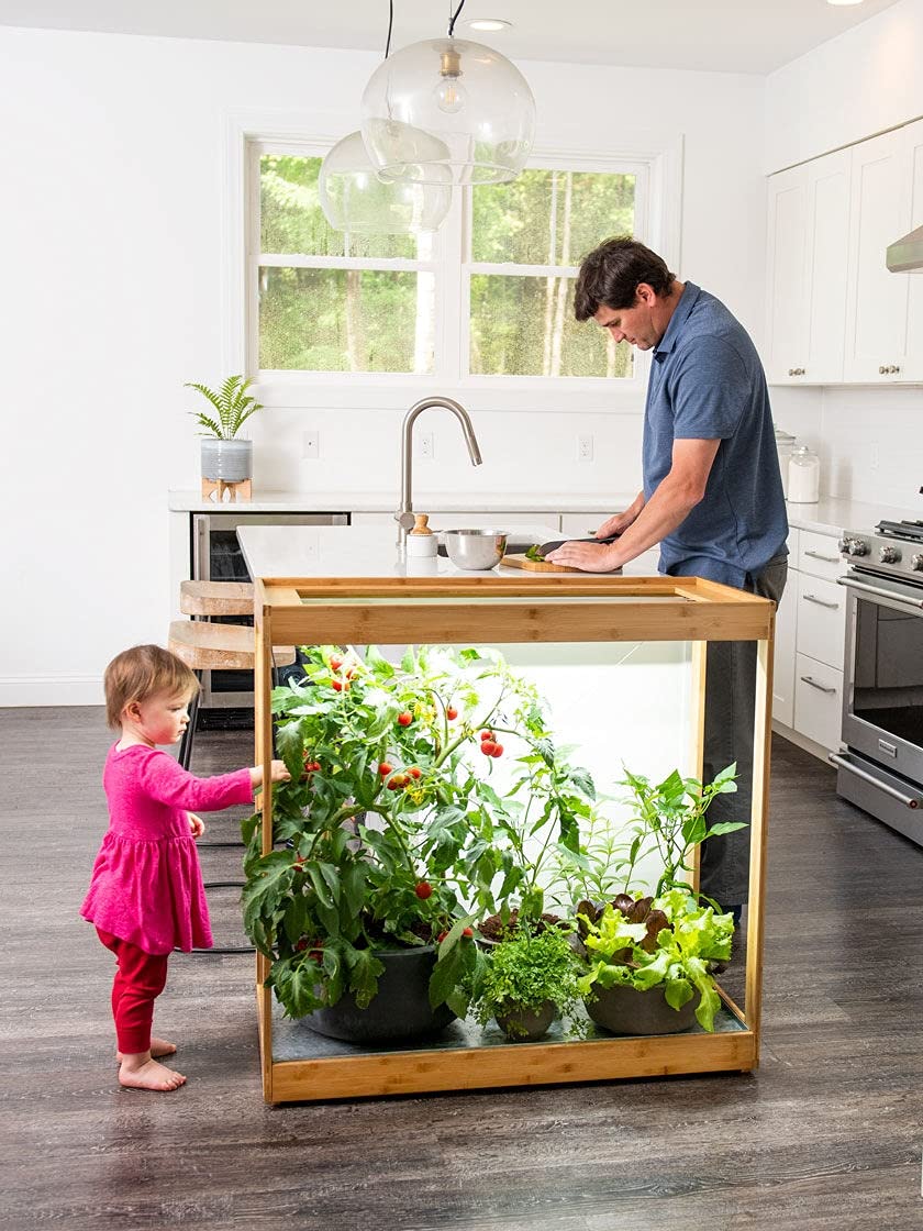 Medium Bamboo LED Grow Light Stand for Indoor Plants - Energy Efficient Grow Light for Herbs, Succulents & Seedlings | Perfect for Home Gardening, Hydroponics & Indoor Greenhouses