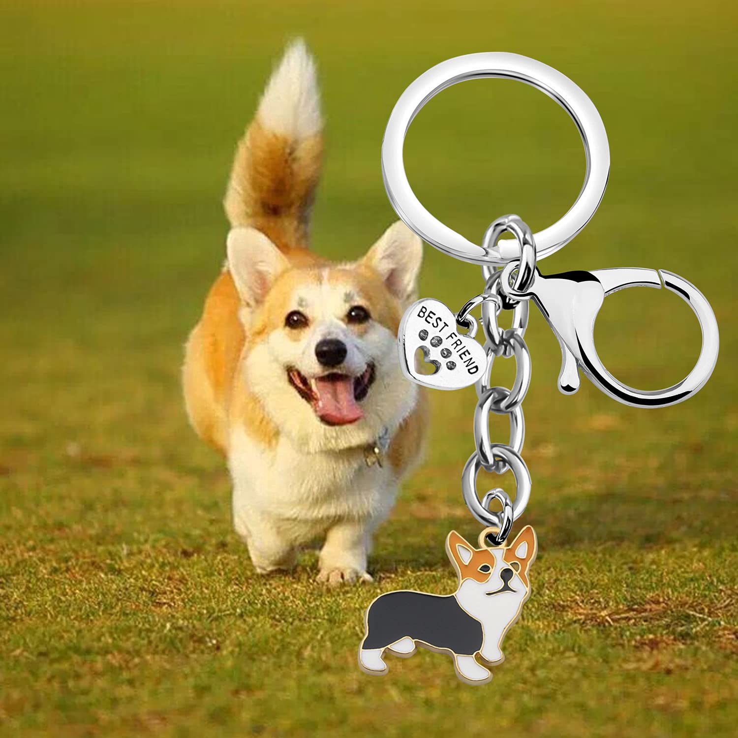 BNQL Cute Corgi Keychain - Perfect Gift for Corgi Owners & Dog Lovers - Paw Print Pet Rescue Keychain - Ideal for Birthdays, Christmas & Pet Adoption Celebrations
