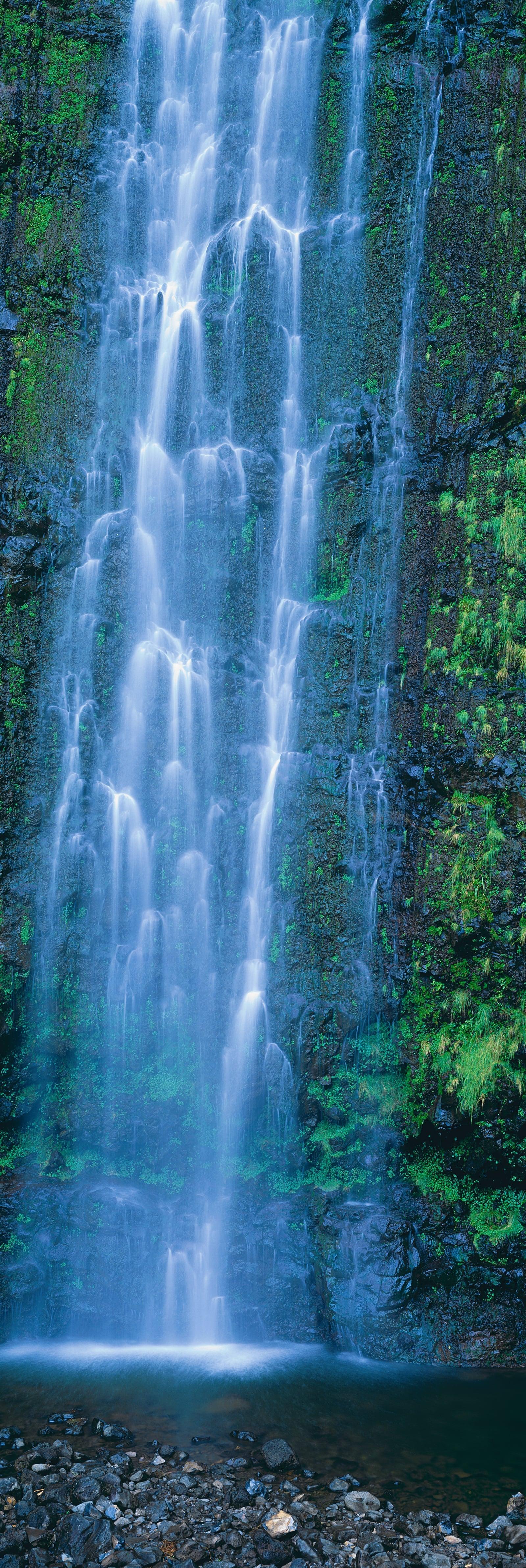 Waimoku Falls - Stunning Bamboo Forest Waterfall in Maui, Hawaii | Perfect for Hiking & Nature Photography