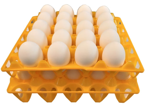 48 Pack of 20 Duck, Goose, Turkey & Peafowl Egg Trays - Heavy Duty Egg Cartons for Poultry Farmers, Egg Collectors & Backyard Chicken Keepers - Perfect for Farm, Market & Home Use