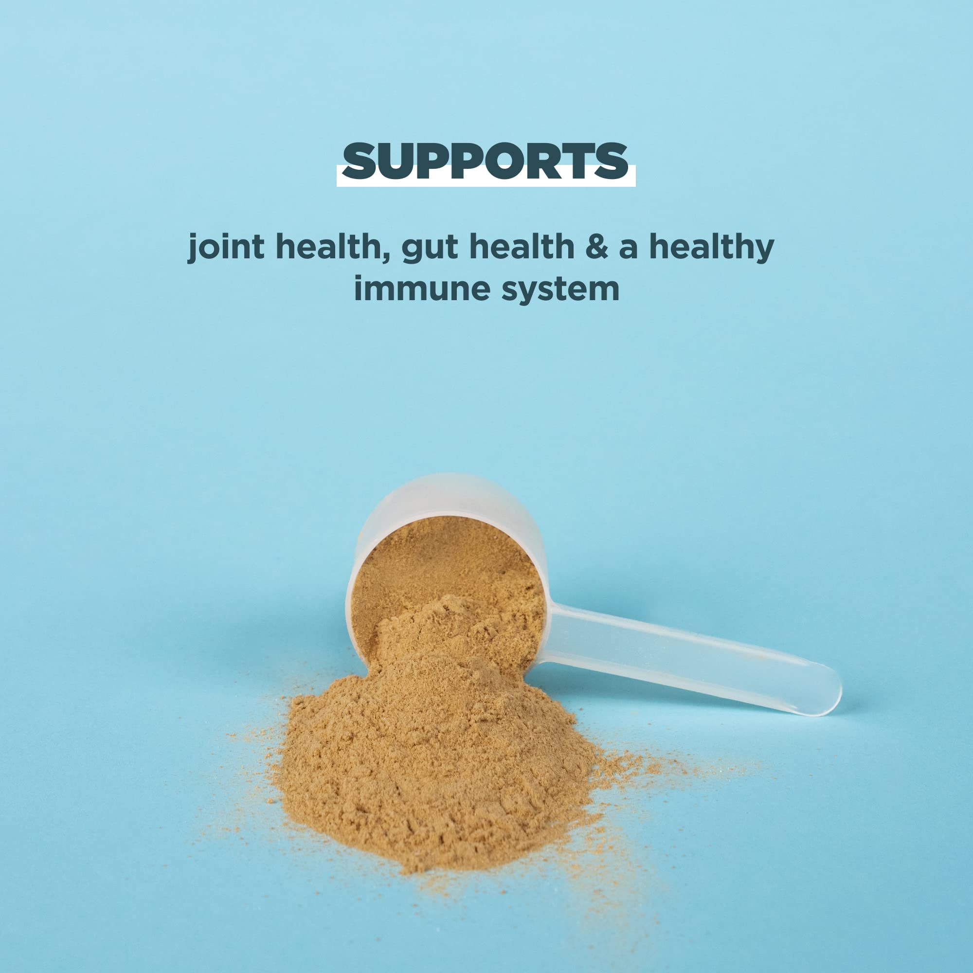 Ancient Nutrition Bone Broth Protein Powder - Chocolate Flavor, 20g Protein Per Serving, 20 Servings, Gluten Free Hydrolyzed Collagen Peptides Supplement - Perfect for Post-Workout Recovery, Smoothies & Baking