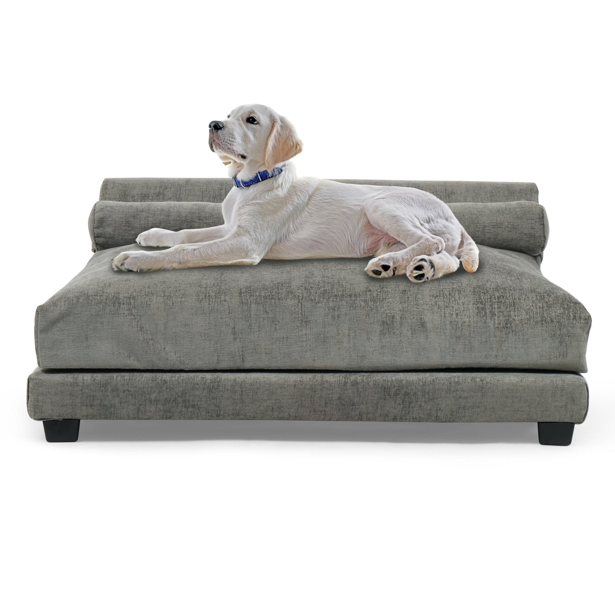 Club Nine Pets Roma Orthopedic Dog Bed - Waterproof & Chew-Resistant Steel Frame - Supportive Memory Foam for Large & Medium Dogs - Perfect for Home, Crate & Travel Use