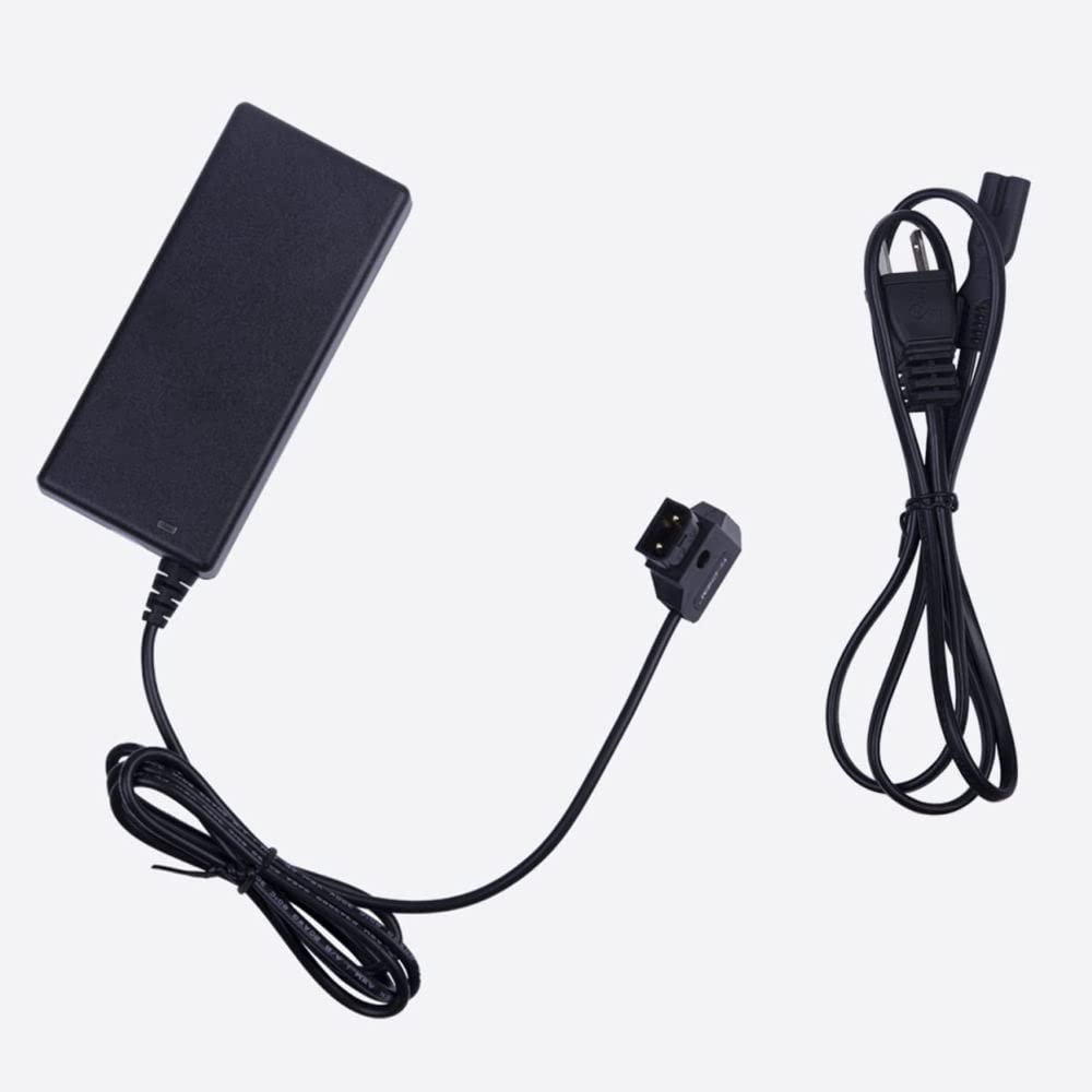 Came-TV 16.8V 40W V Mount Battery Charger with D-Tap Port - Fast Charging for V Mount/V Lock/Gold Mount Batteries - Perfect for DSLR Cameras, Video Cameras & Film Production Equipment