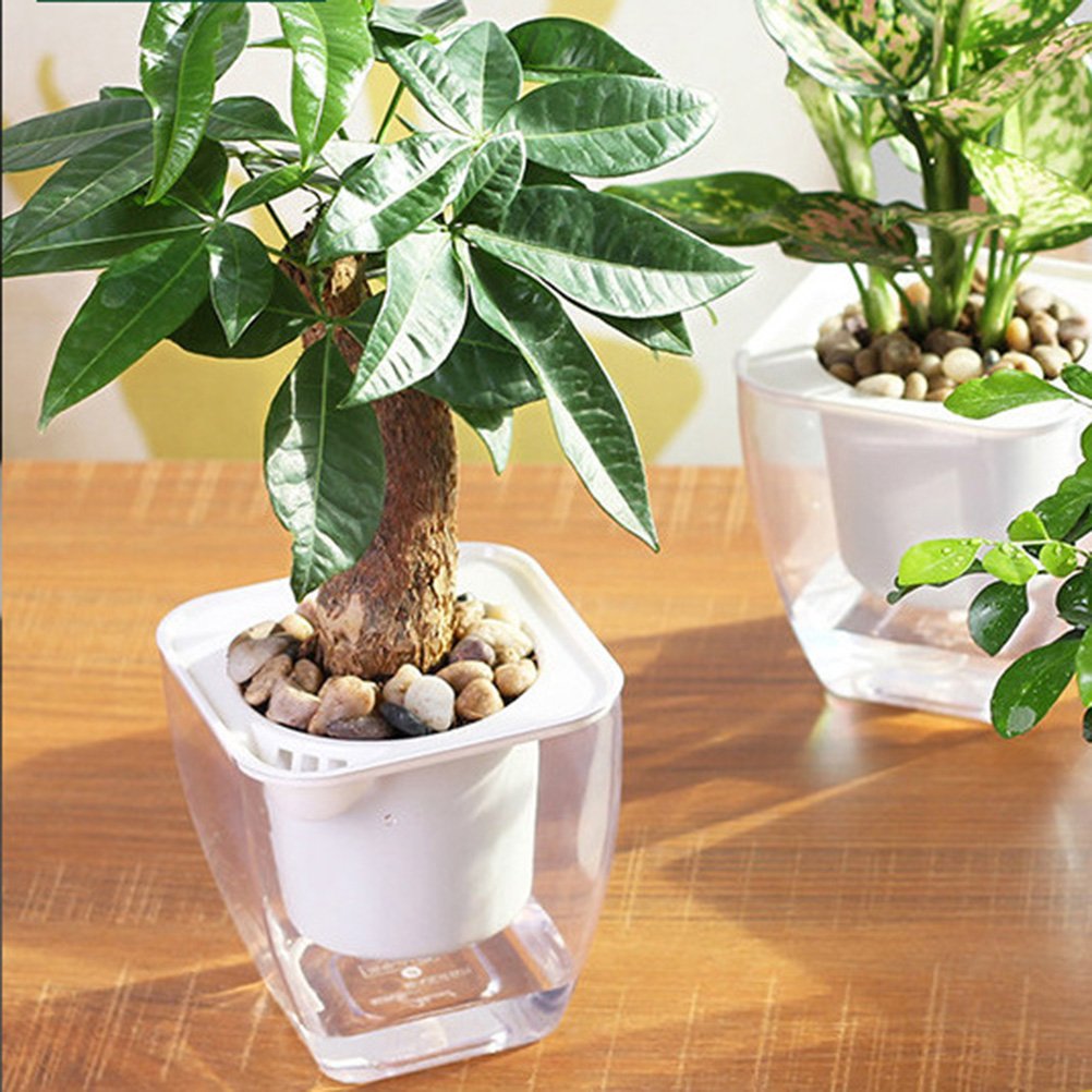 Stylish Hemoton Double Deck Planter - Transparent Indoor Garden Planter with Self-Watering System, Square Flower Pots for Home Decor (G103) - Perfect for Windowsills, Balconies & Office Spaces