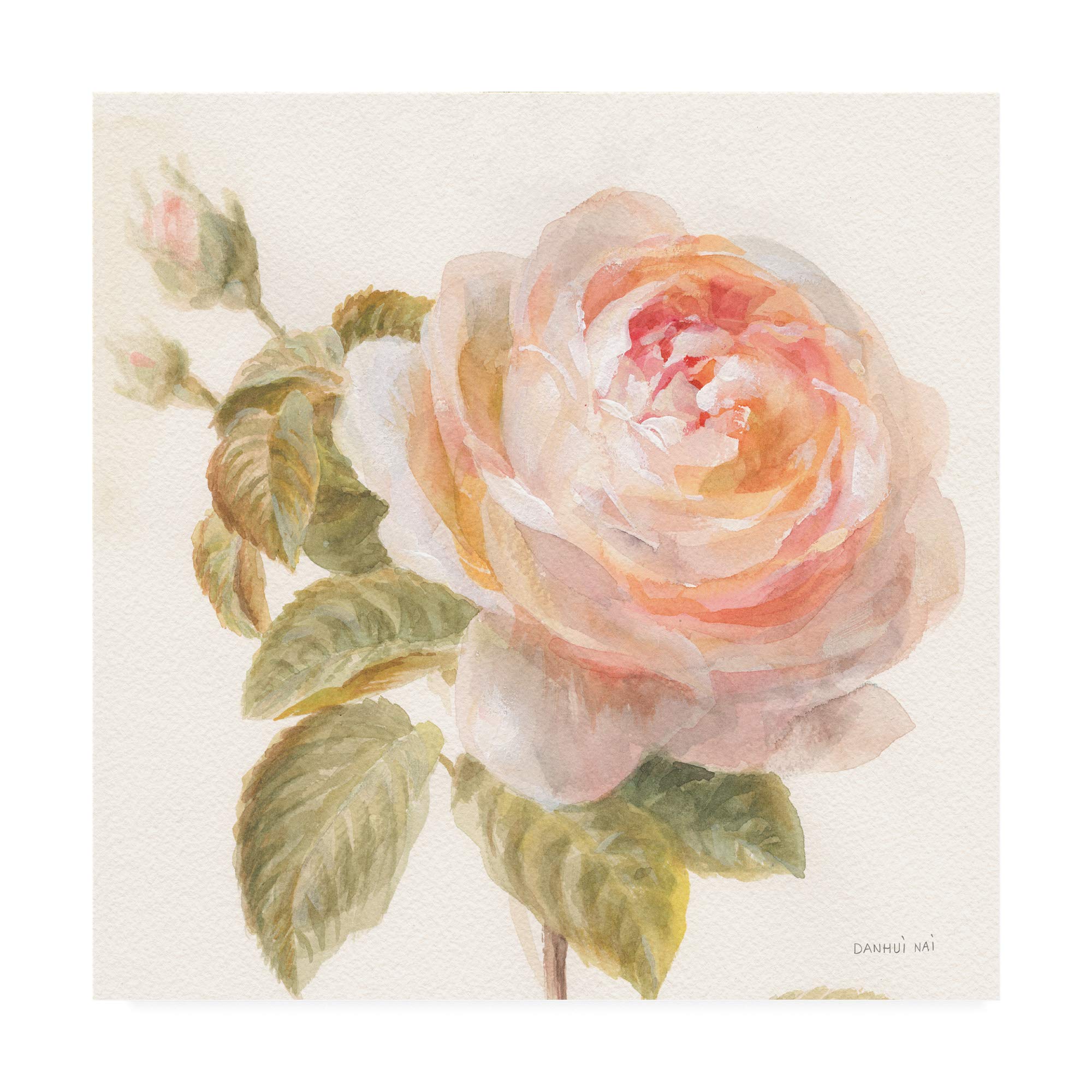 Danhui NAI Garden Rose Painting - 18x18 Inch Floral Wall Art for Home Decor, Living Room, Bedroom & Office | Trademark Fine Art