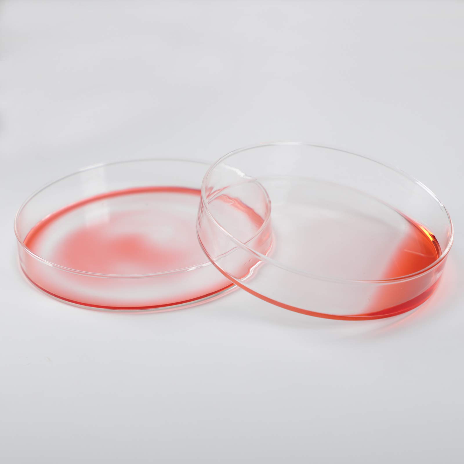 3.3 Borosilicate Glass Petri Dishes - 120mm OD, Pack of 10 - Lab-Grade Culture Plates for Microbiology, Cell Culture & Science Experiments