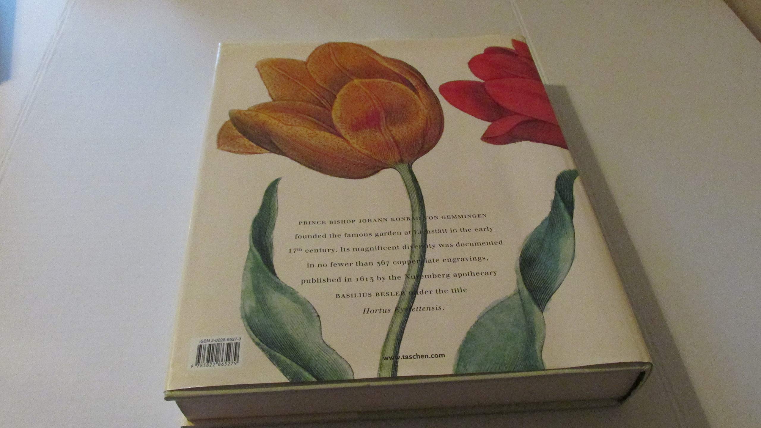 The Garden at Eichstatt: Rare Botanical Plant Book - Perfect for Gardeners, Nature Lovers & Home Decor