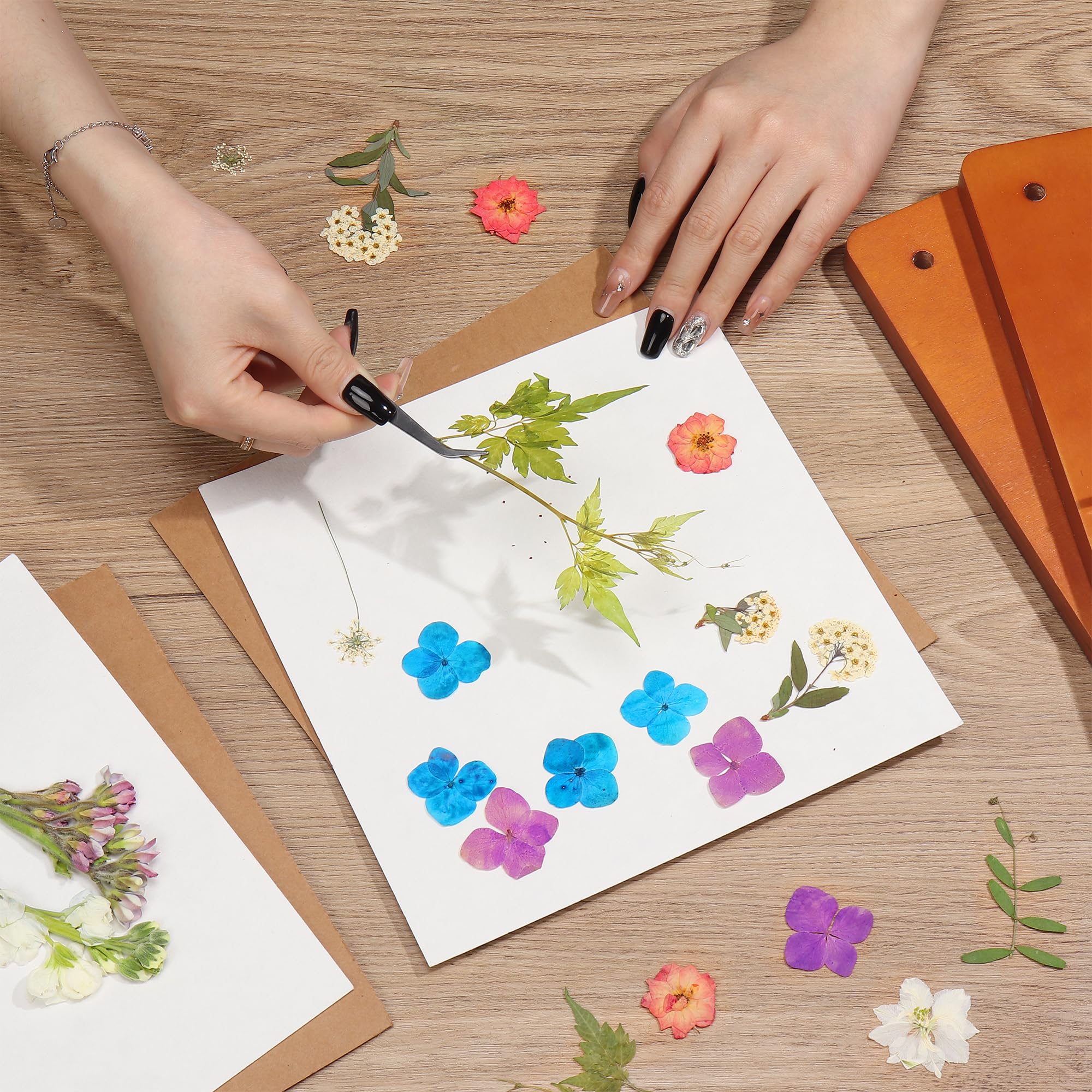 Forwe Large 12-Layer Wooden Flower Press Kit - 10.6