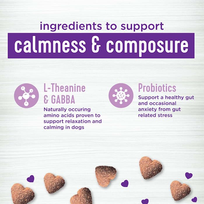 Premium Wellness Tasty Cheese Flavored Soft Chews - Calming Anxiety Supplements for Dogs with Natural Ingredients (45 Count) - Perfect for Travel, Vet Visits & Storm Anxiety Relief