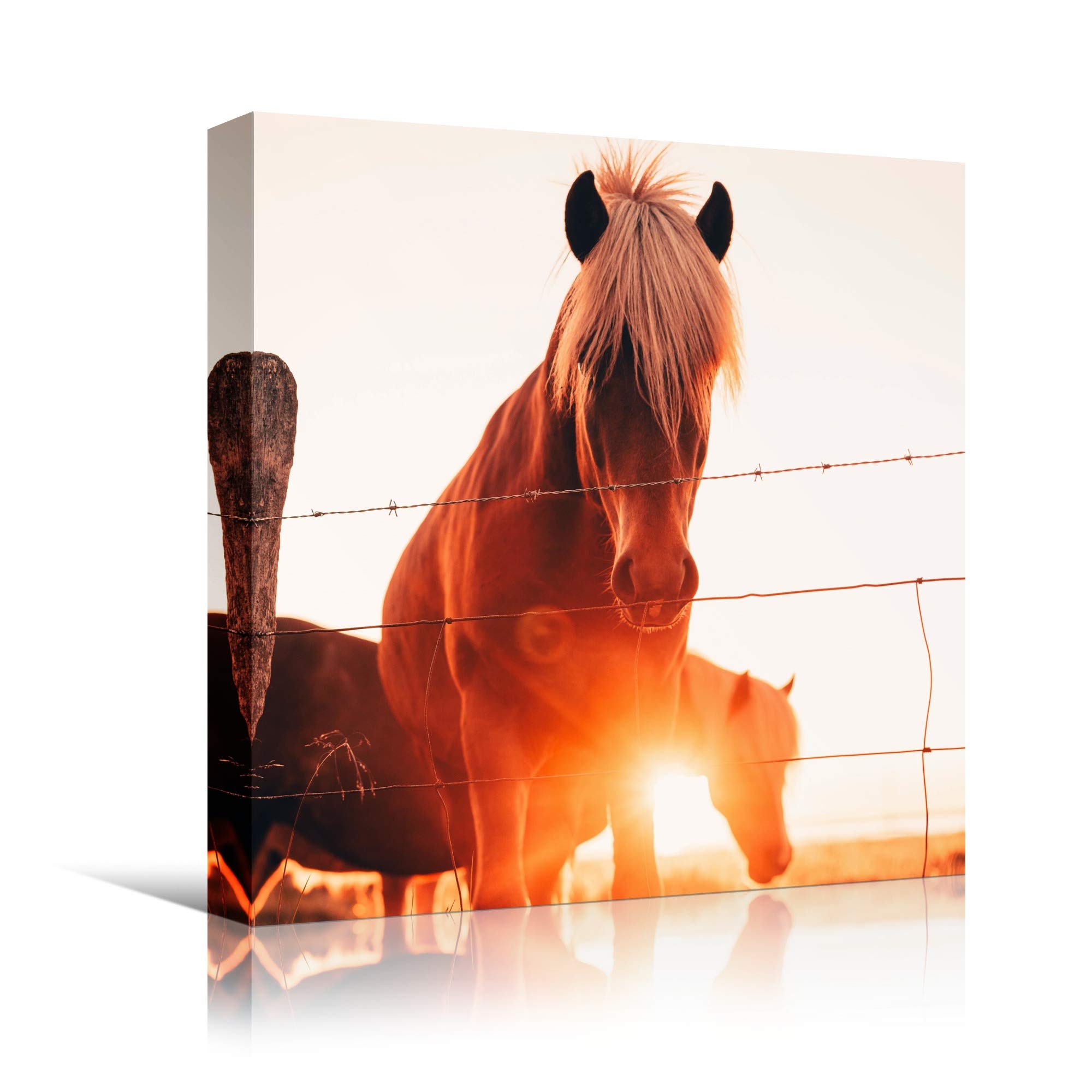 Two Horses IV Farmhouse Country Wall Art - 16x16 Inch Ready to Hang Horse Photography Print for Living Room & Bedroom Decor | Rustic Home Decor, Western Style Interior Design
