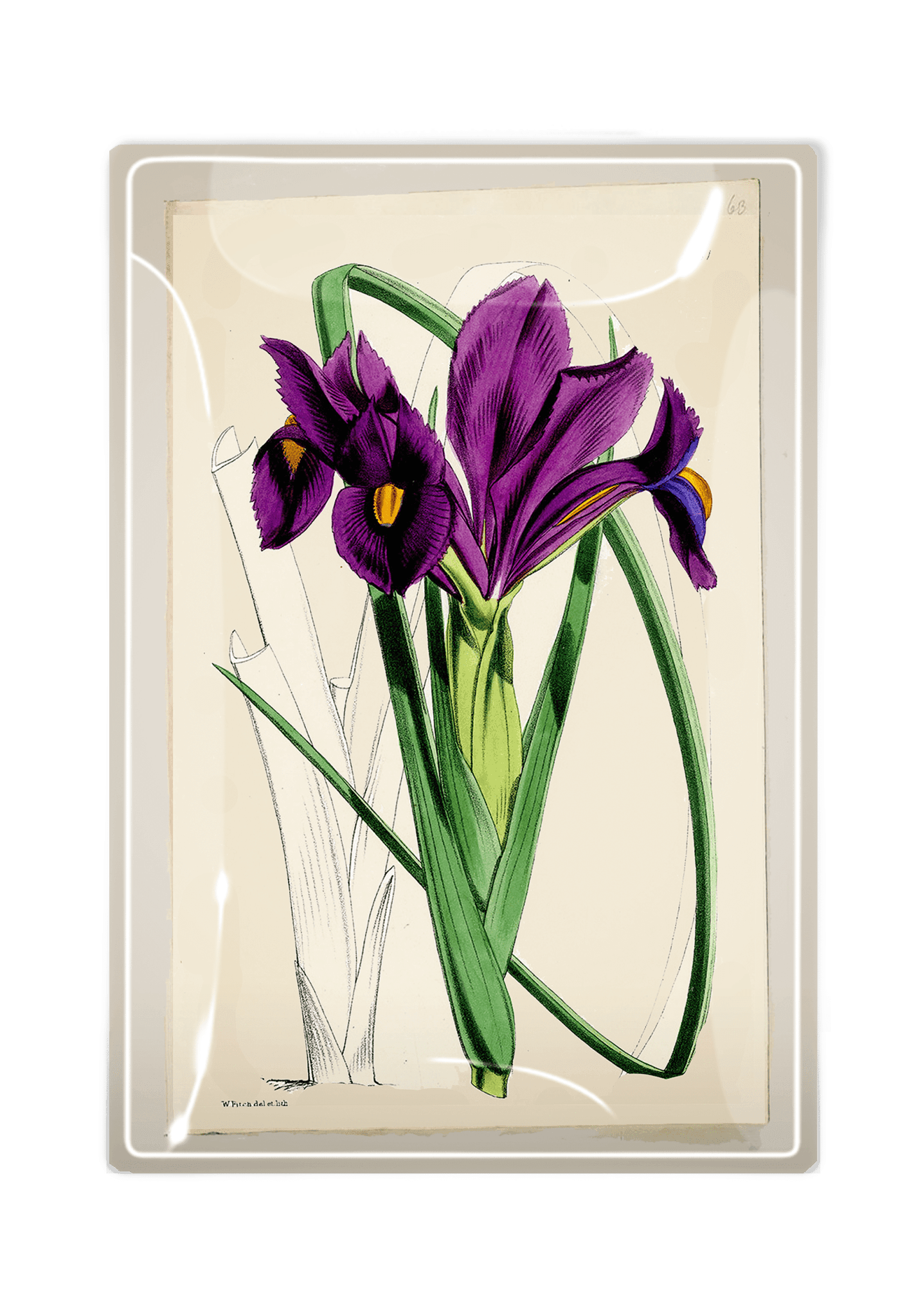 Handmade Purple Iris Decoupage Glass Tray - Elegant Serving Tray for Tea, Coffee & Desserts - Perfect for Home Decor, Gift Giving & Party Serving
