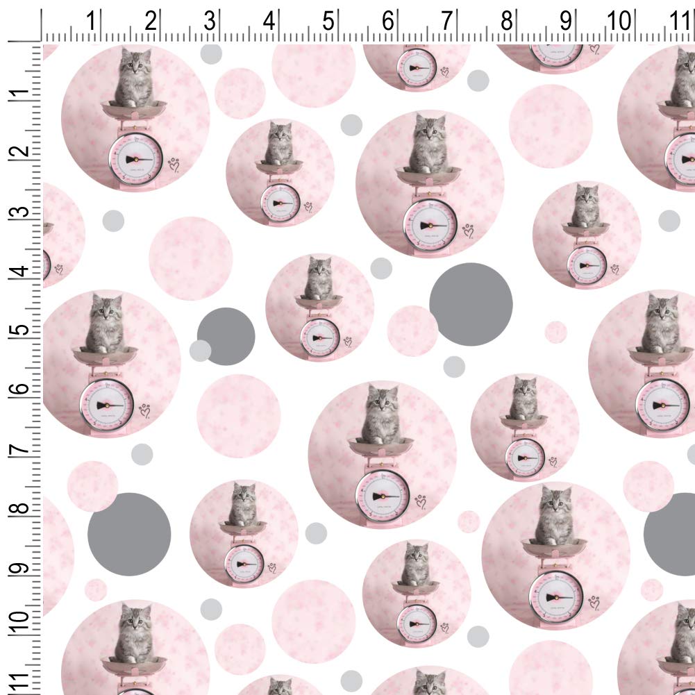 Siberian Cat Kitten Tipping The Scale Gift Wrap Paper Roll - Cute Animal Wrapping Paper for Birthday, Christmas Gifts & Party Decorations