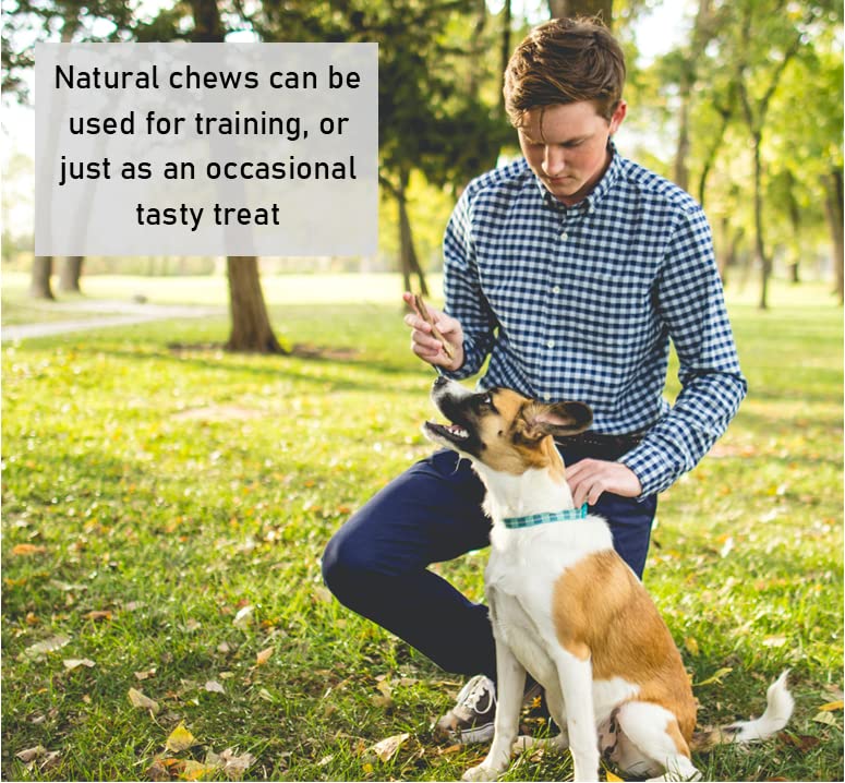 1kg Natural Beef Head Skin Dog Chews - High Protein, Grain-Free Dog Treats for Dental Health & Training - Perfect for Aggressive Chewers & Large Breeds