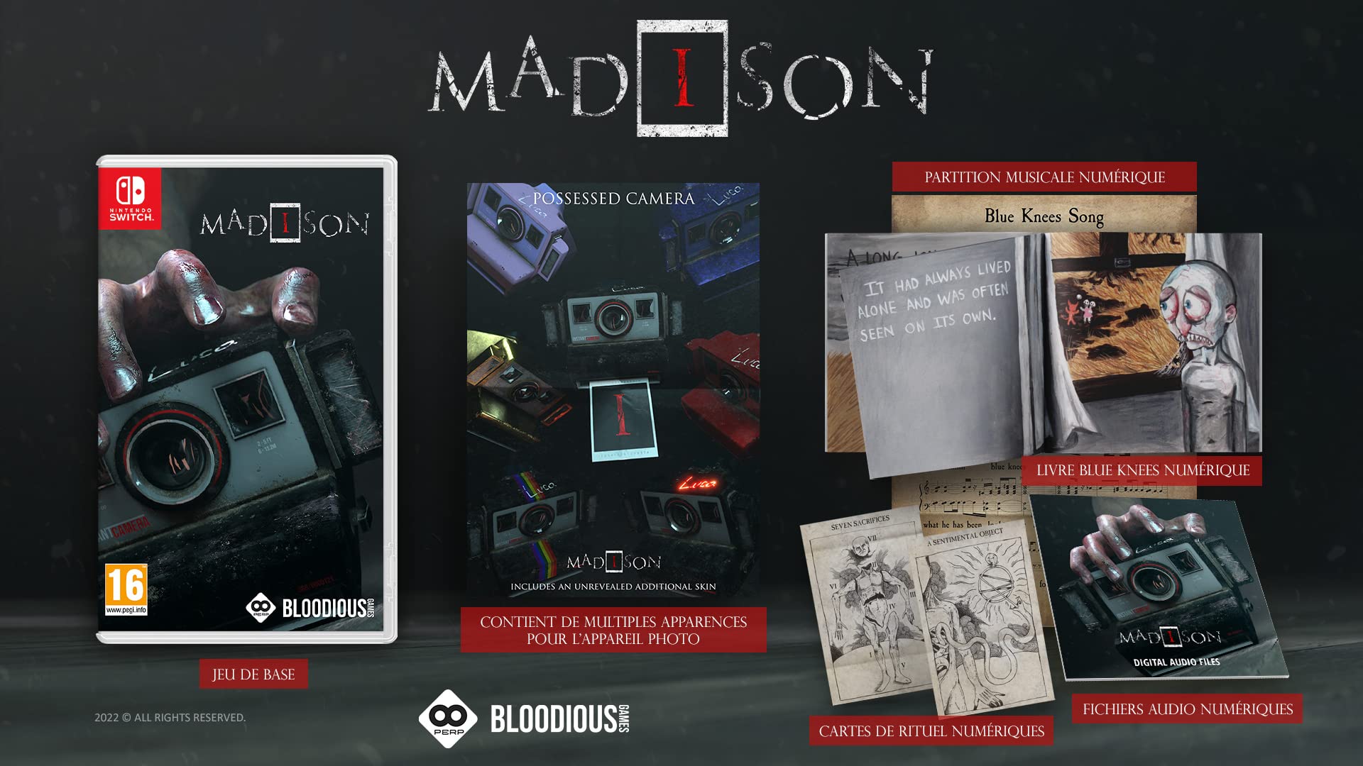Madison Possessed Horror Game for Nintendo Switch - Scary Survival Adventure for Home & Party Gaming