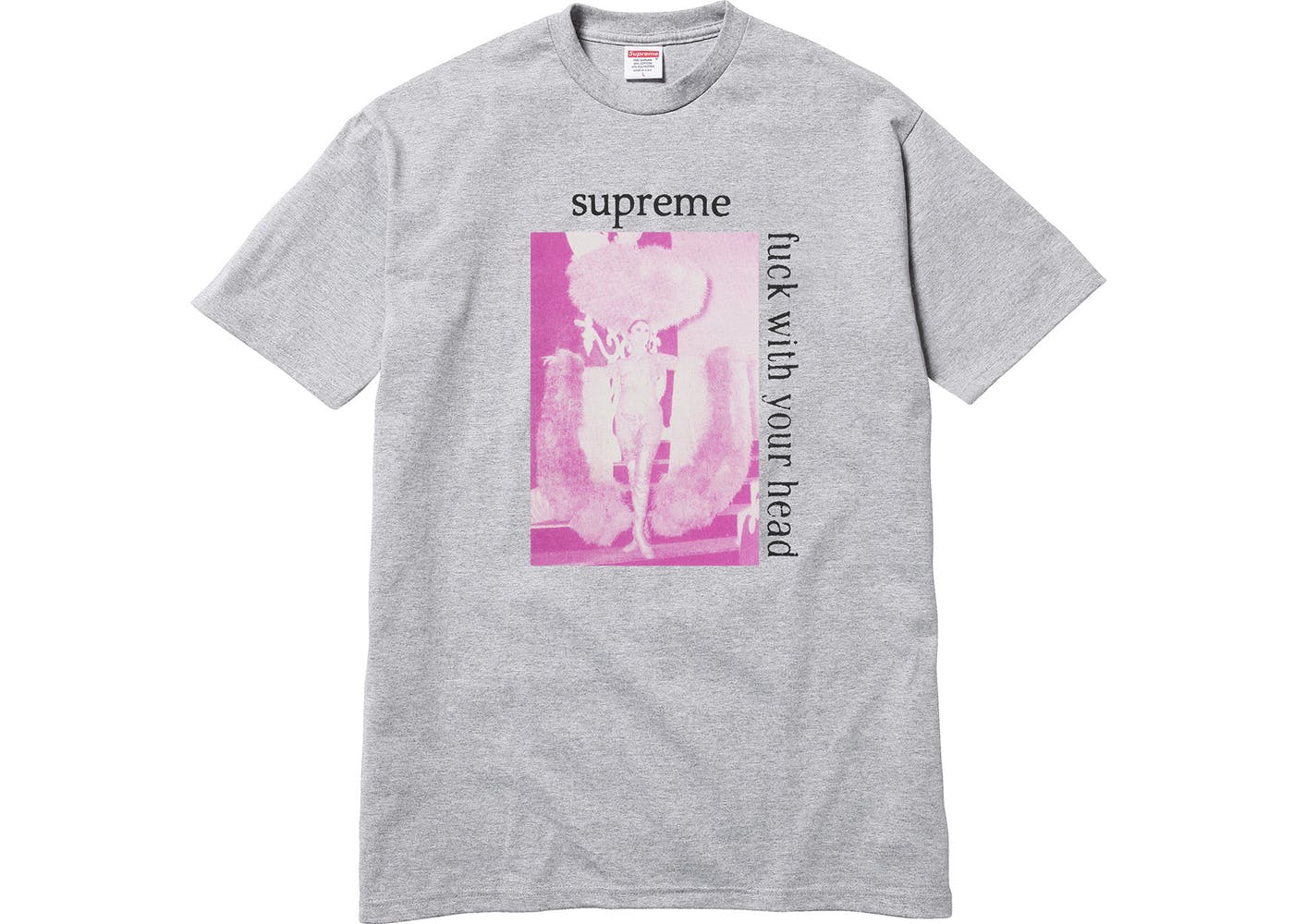 Supreme Fuck With Your Head T-Shirt - Grey Cotton Streetwear Tee for Men & Women | Casual Wear, Urban Fashion, Street Style Outfits