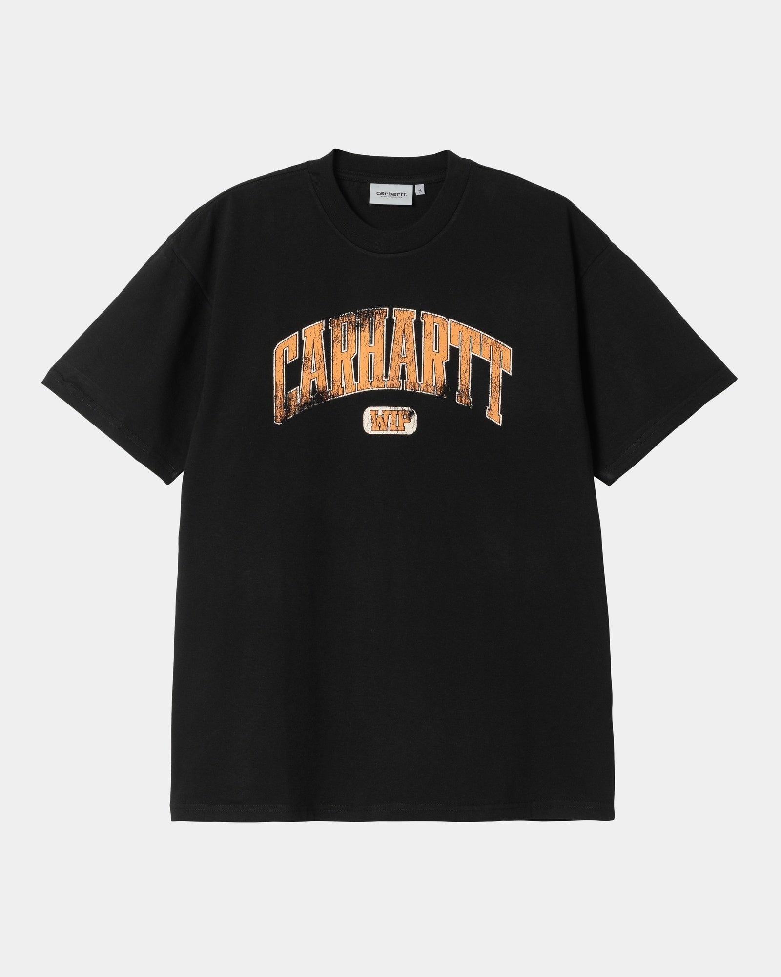 Lecture T-Shirt for Men & Women | Comfortable Black Cotton Tee for College, School & Casual Wear