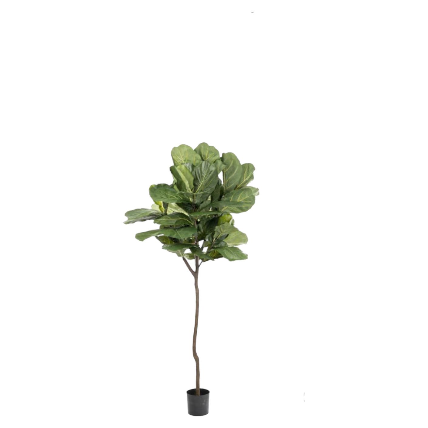 7.5' Faux Fiddle Leaf Fig Tree with 62 Realistic Leaves - Perfect for Home Decor, Office Plants & Indoor Greenery