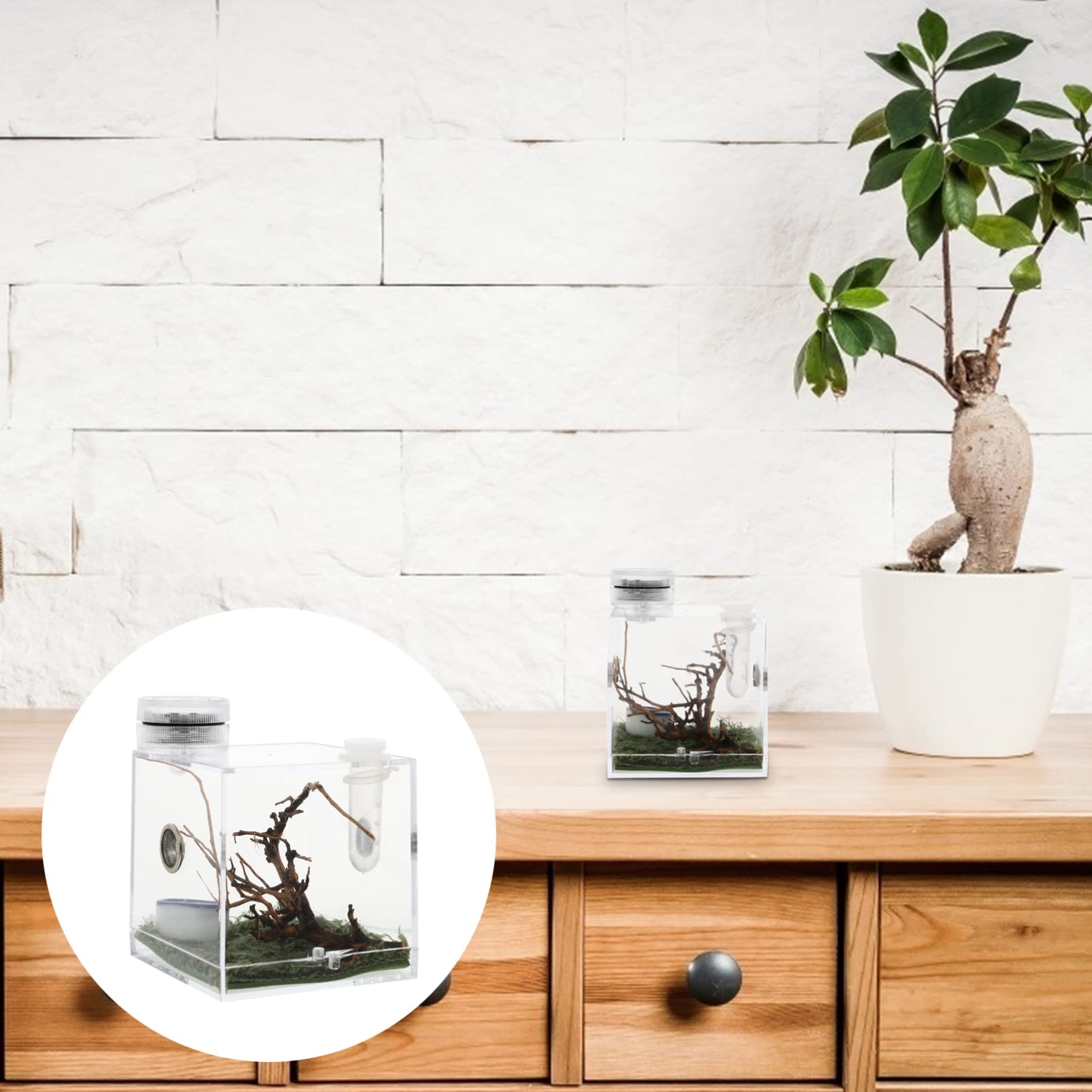 Premium Acrylic Reptile Terrarium with Built-in LED Light - 20 Gallon Transparent Spider Enclosure Habitat for Tarantulas, Lizards & Small Pets - Perfect for Home, Office or Classroom Display